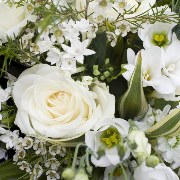 Purchase Sympathy