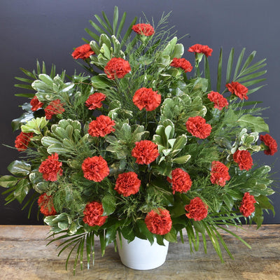 Boutique Funeral Carn 24 Red image 0