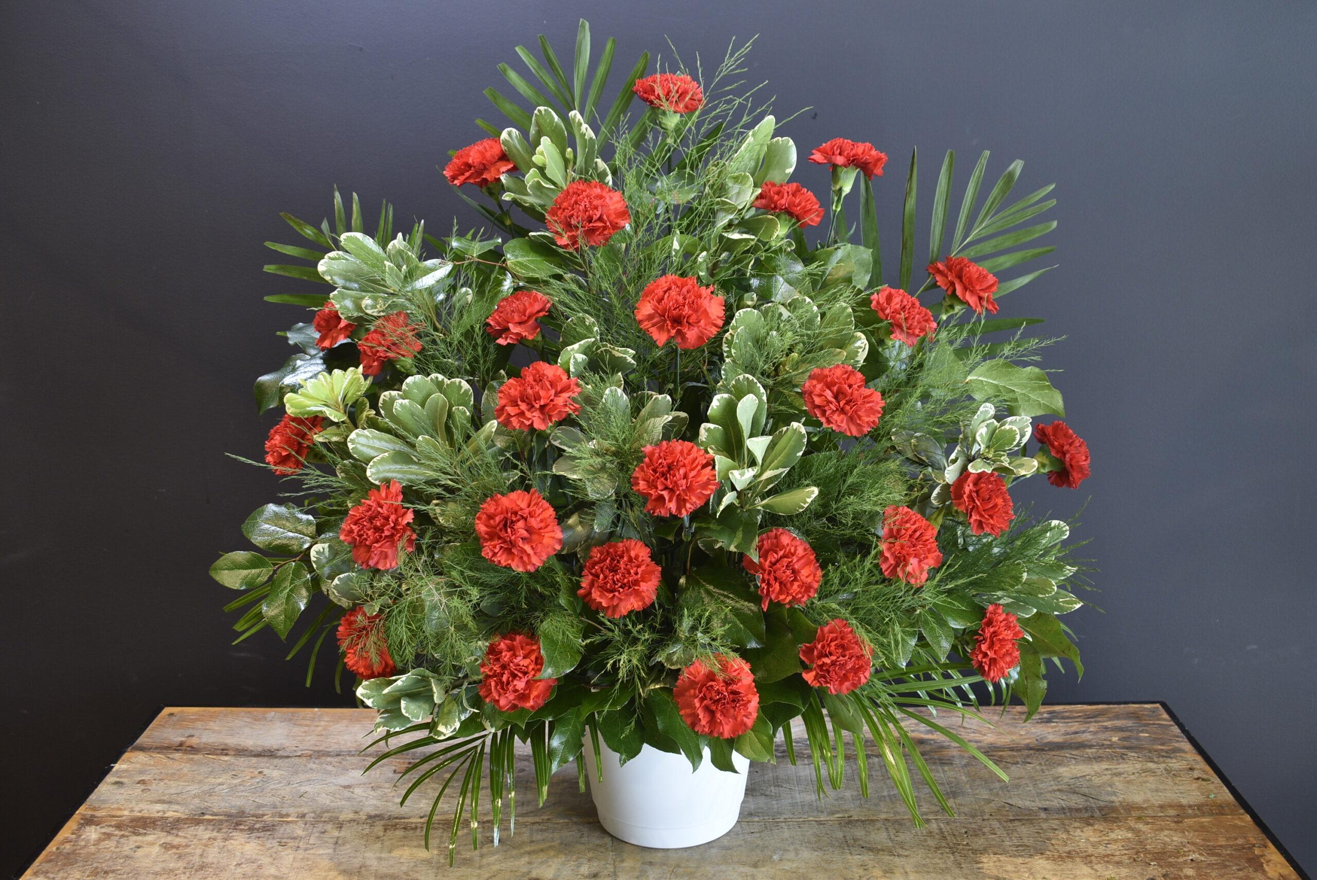 Boutique Funeral Carn 24 Red image 0