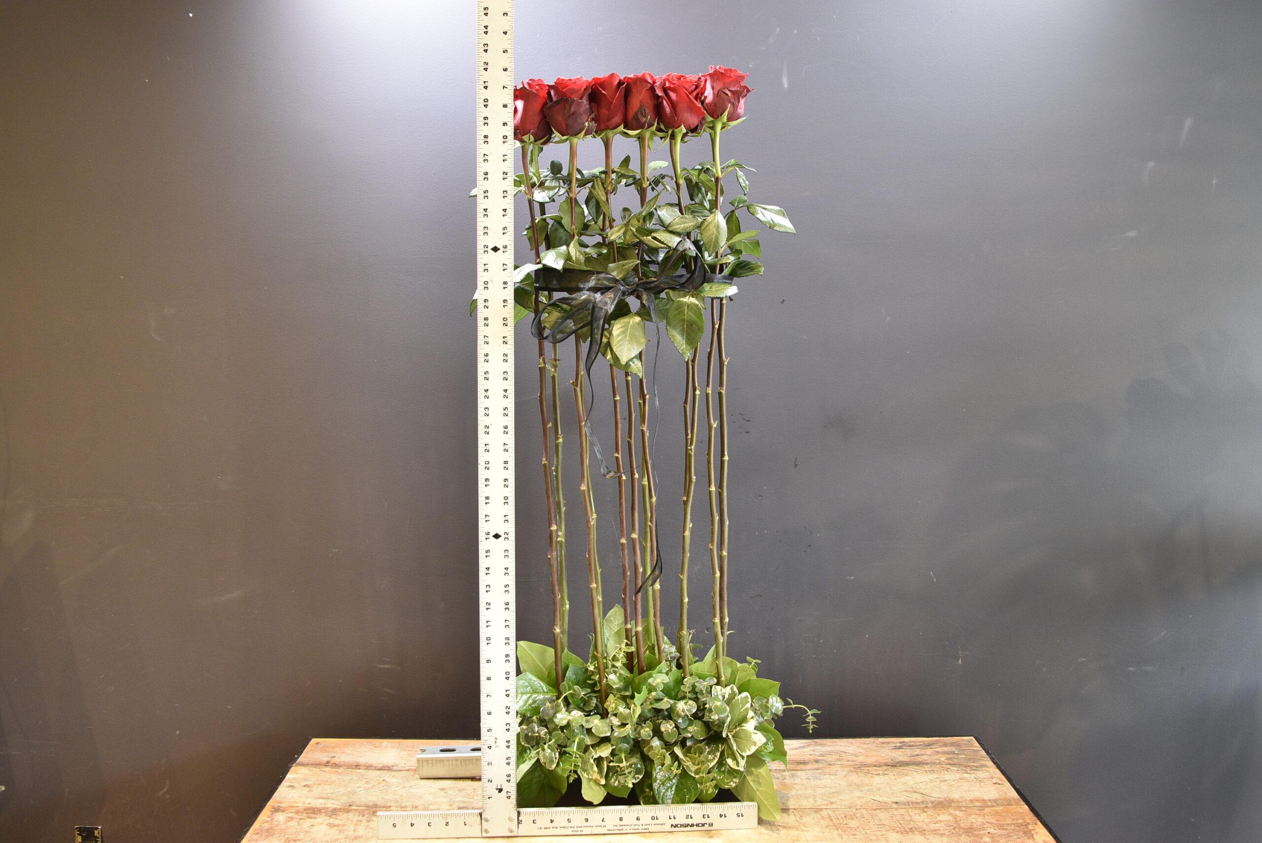 BOUTIQUE ROSE HEDGE image 1