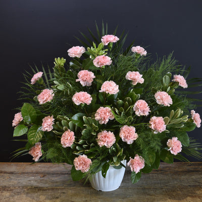 BOUTIQUE FUNERAL CARN 24 PINK image 0