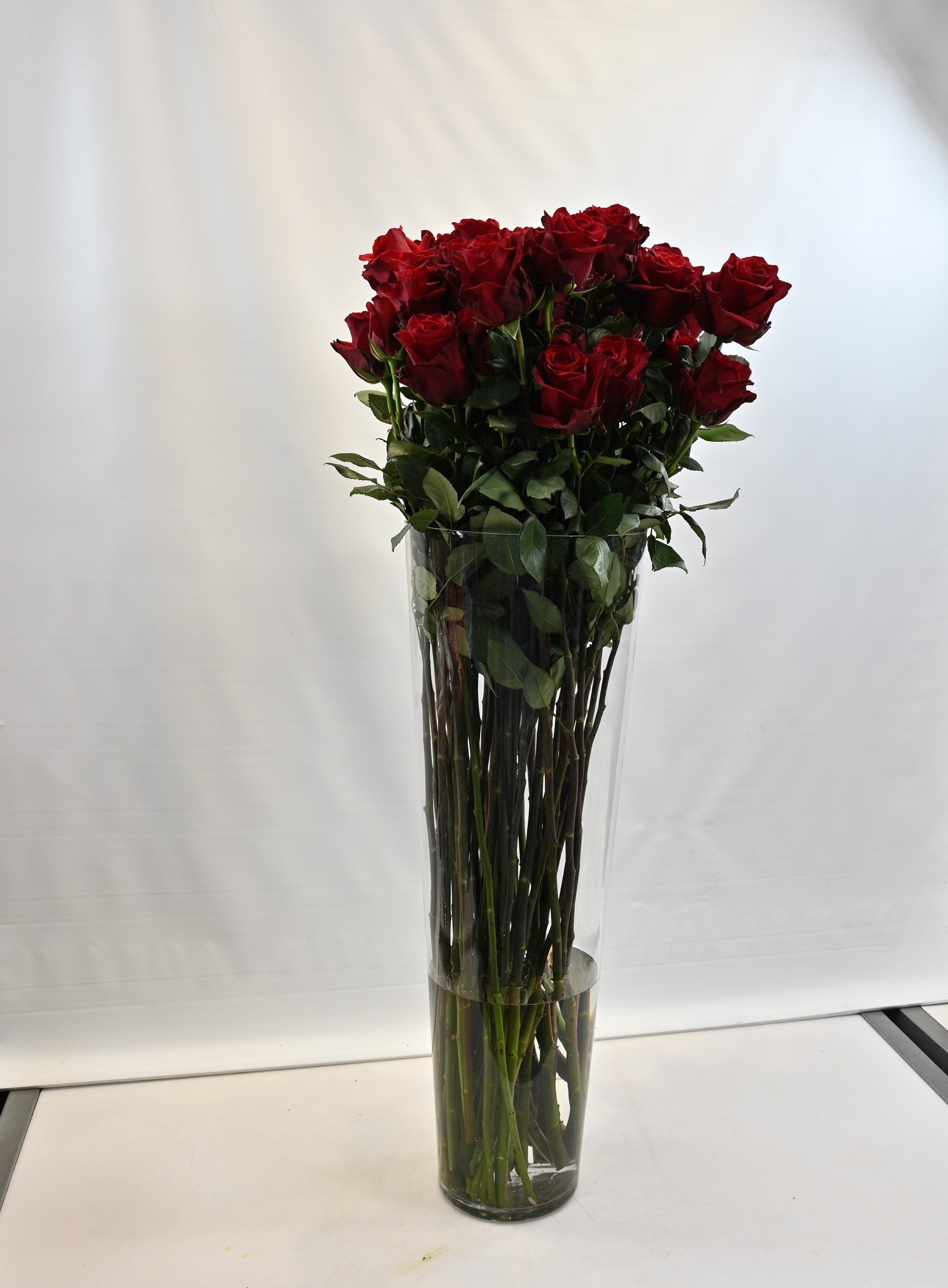 Rose Explorer 100cm Large