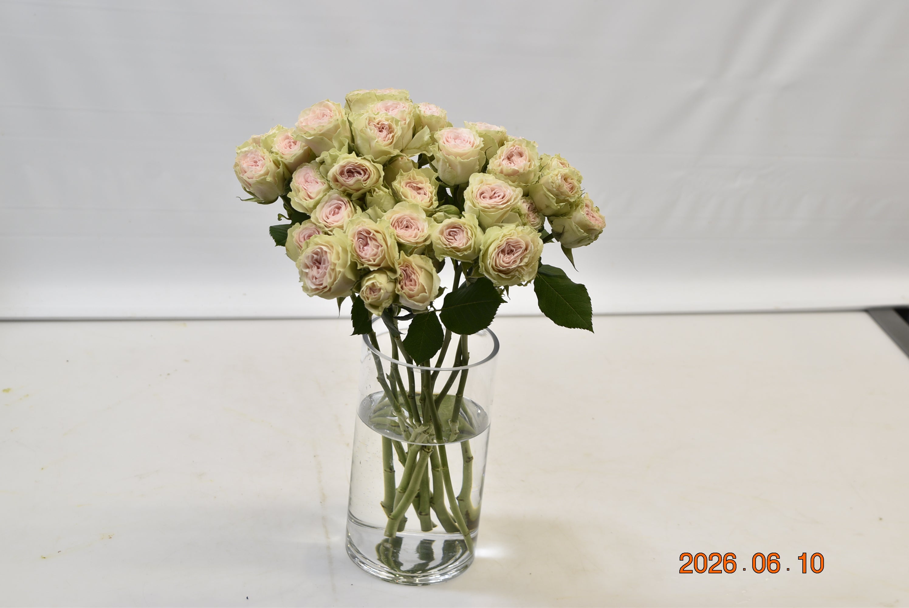 Rose Spray Fibonacci Yantra Large