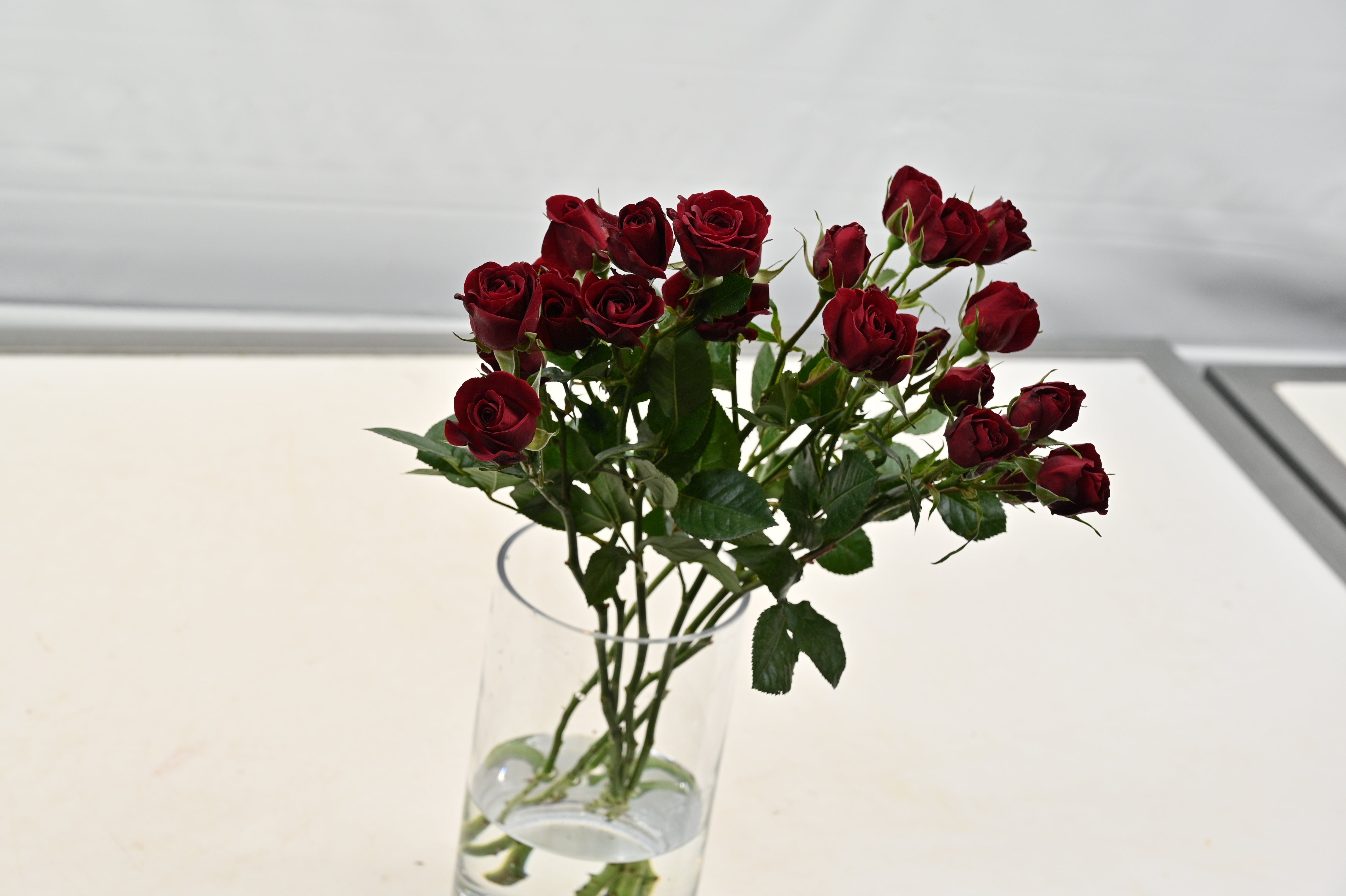 ROSE SPRAY RUBICON Large