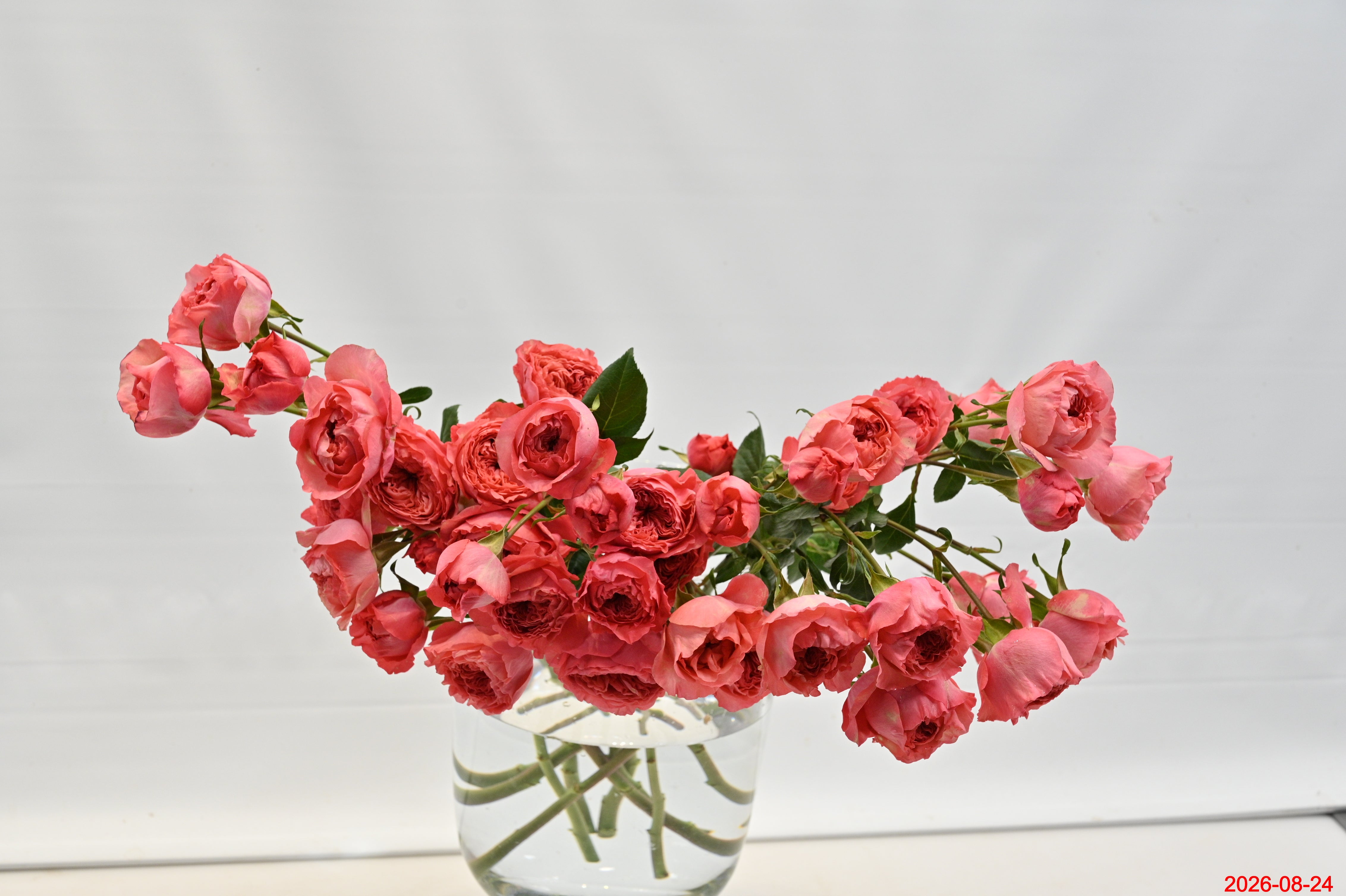 Rose Spray Boomerang Large