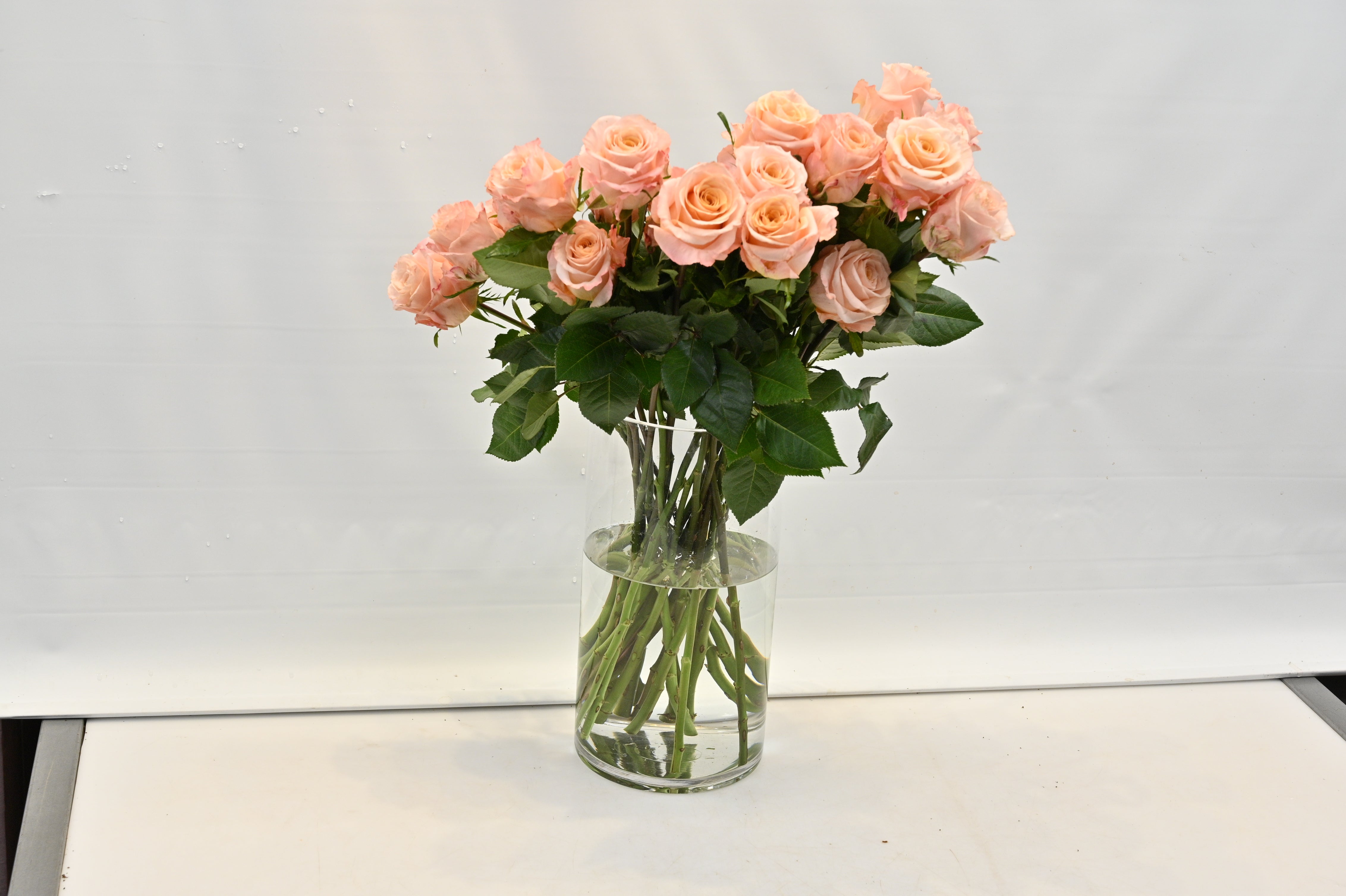 ROSE SHIMMER Large