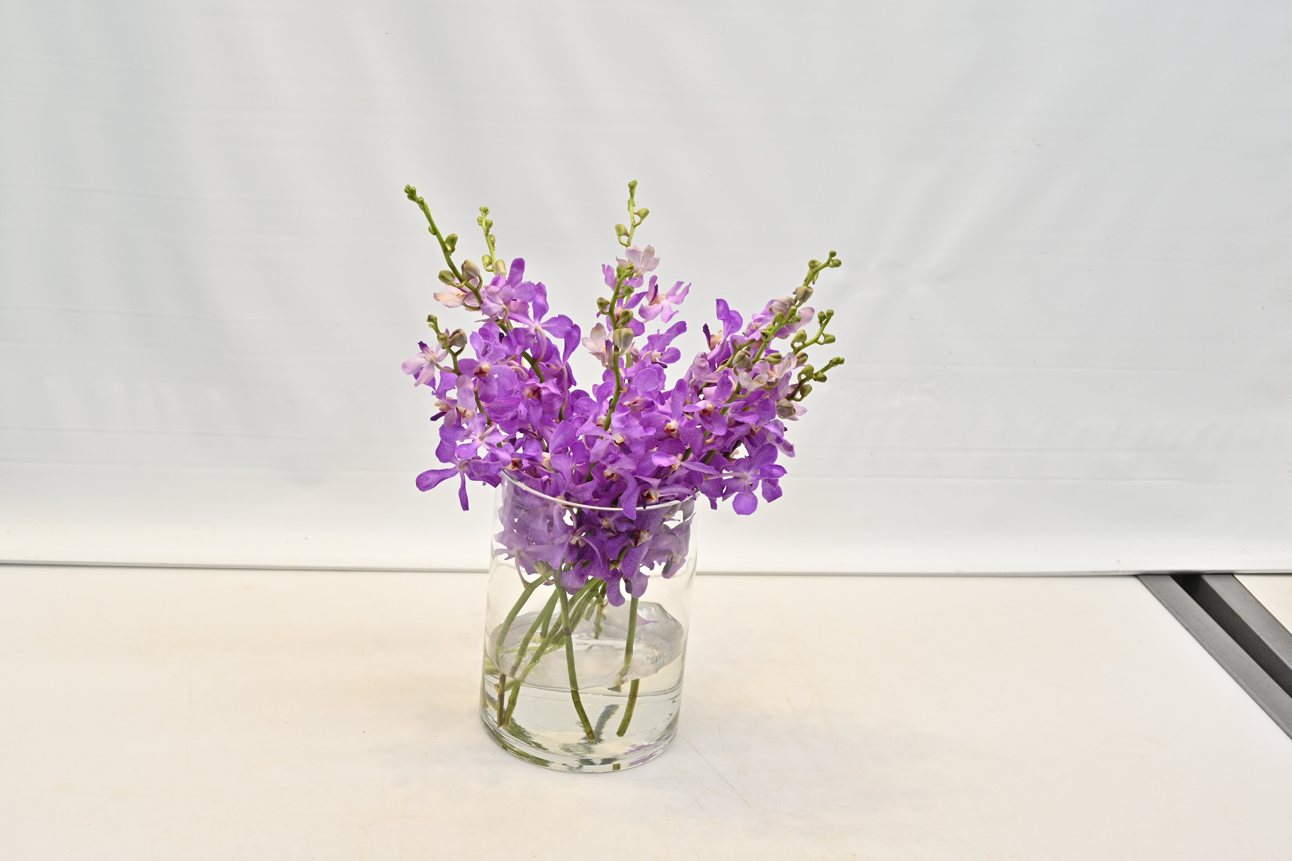 MOKARA ORCHID PURPLE Large