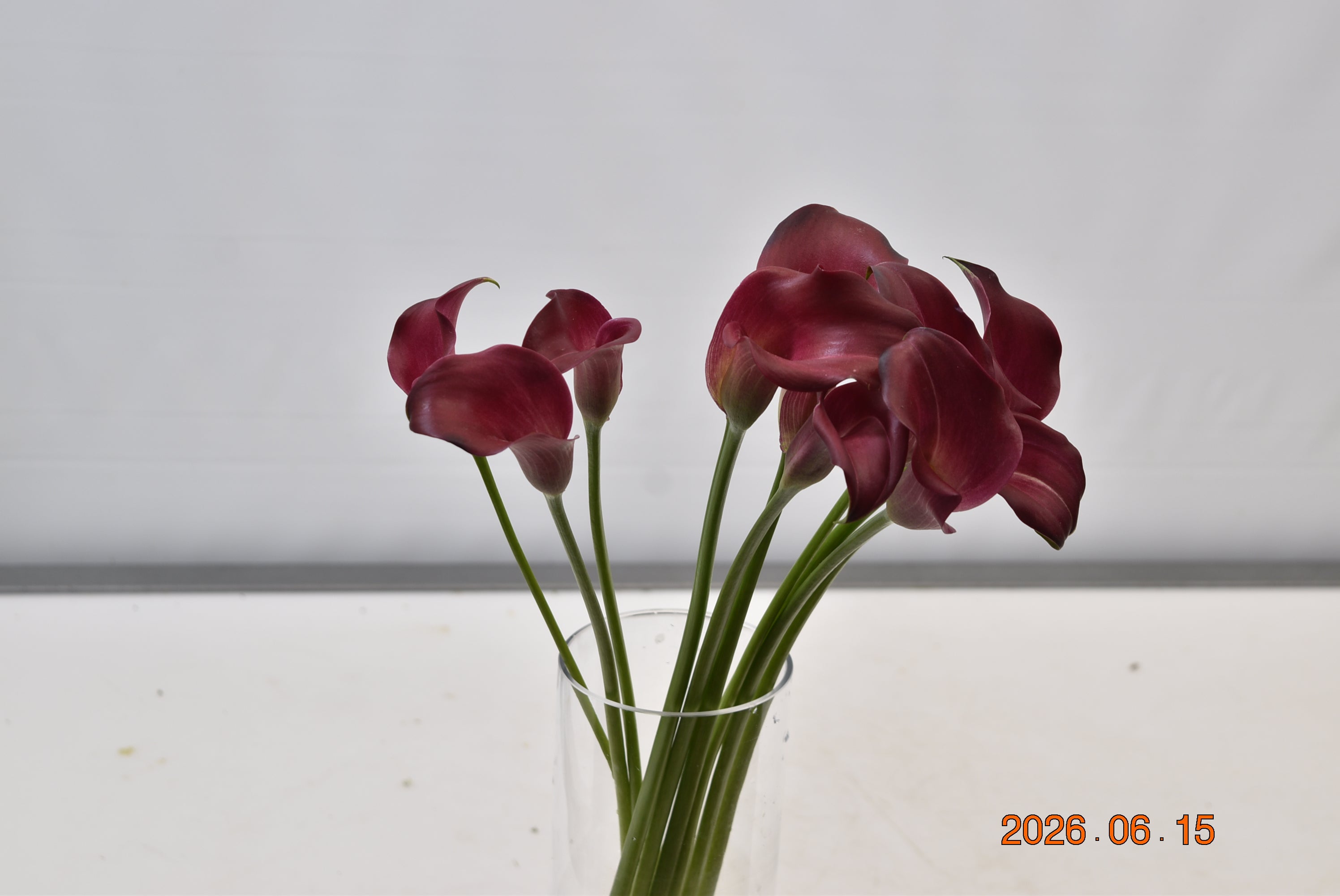 CALLA SM RED WINE Large