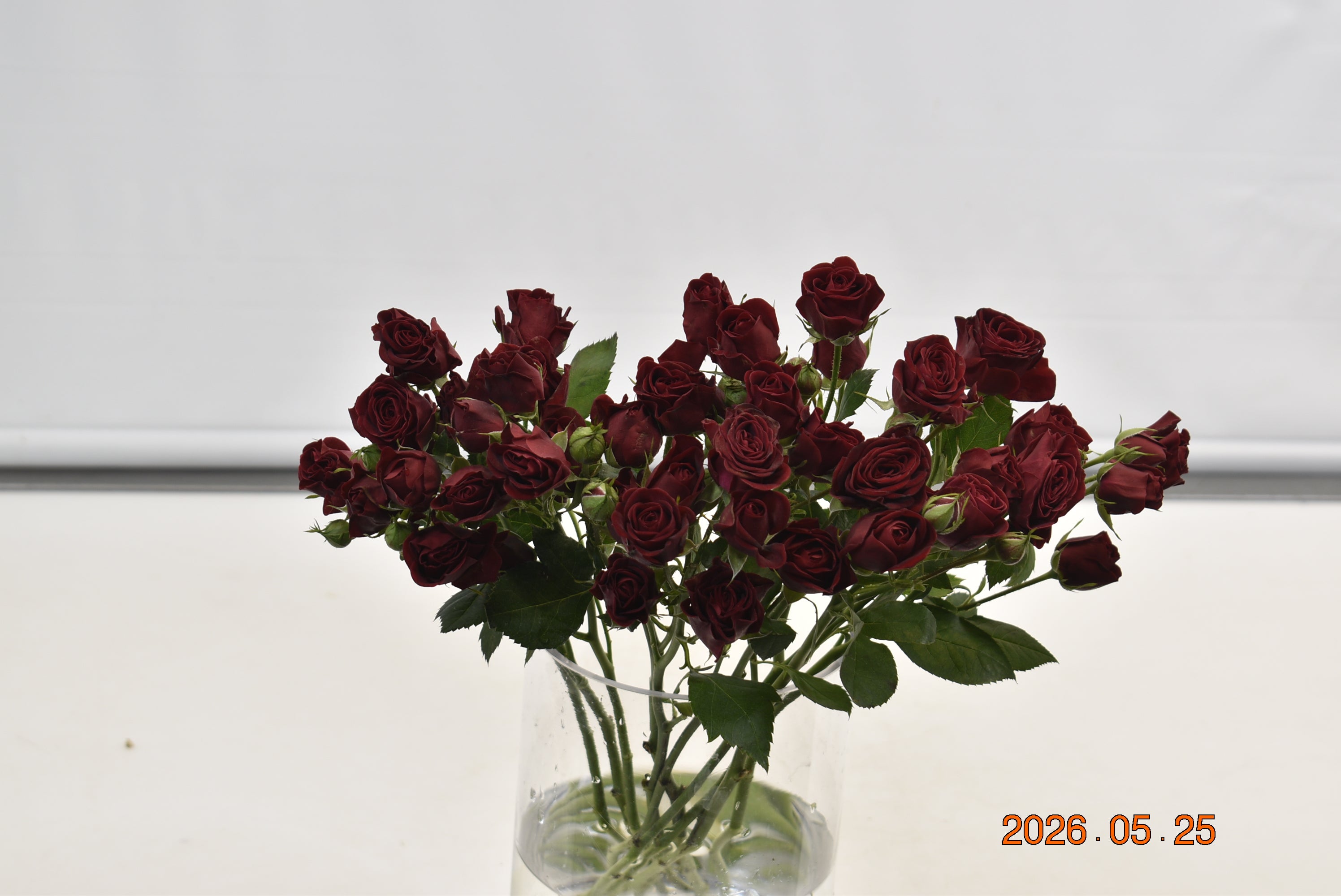 ROSE SPRAY RED MIKADO Large