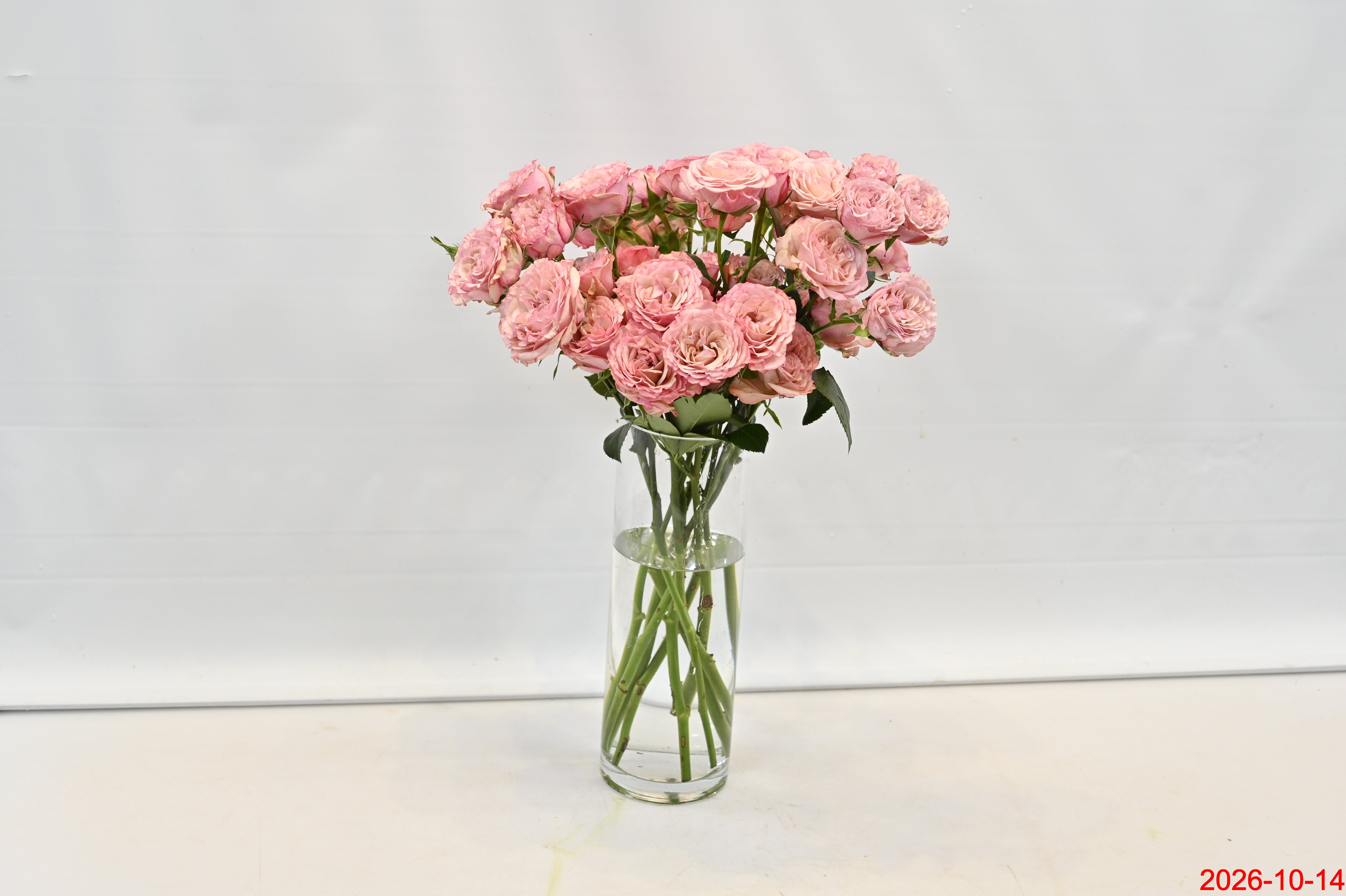Rose Spray Baby Flow Large