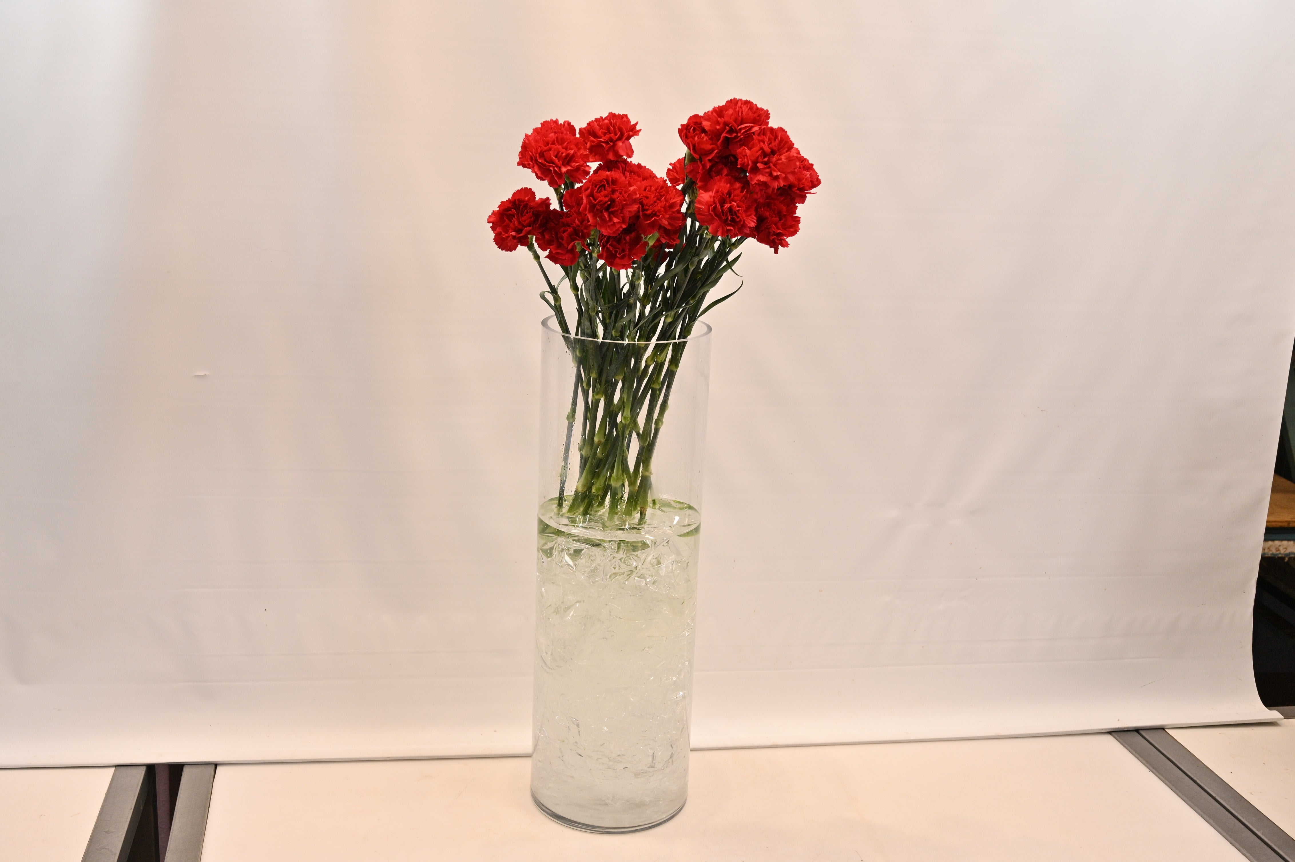 CARNATION RED Large