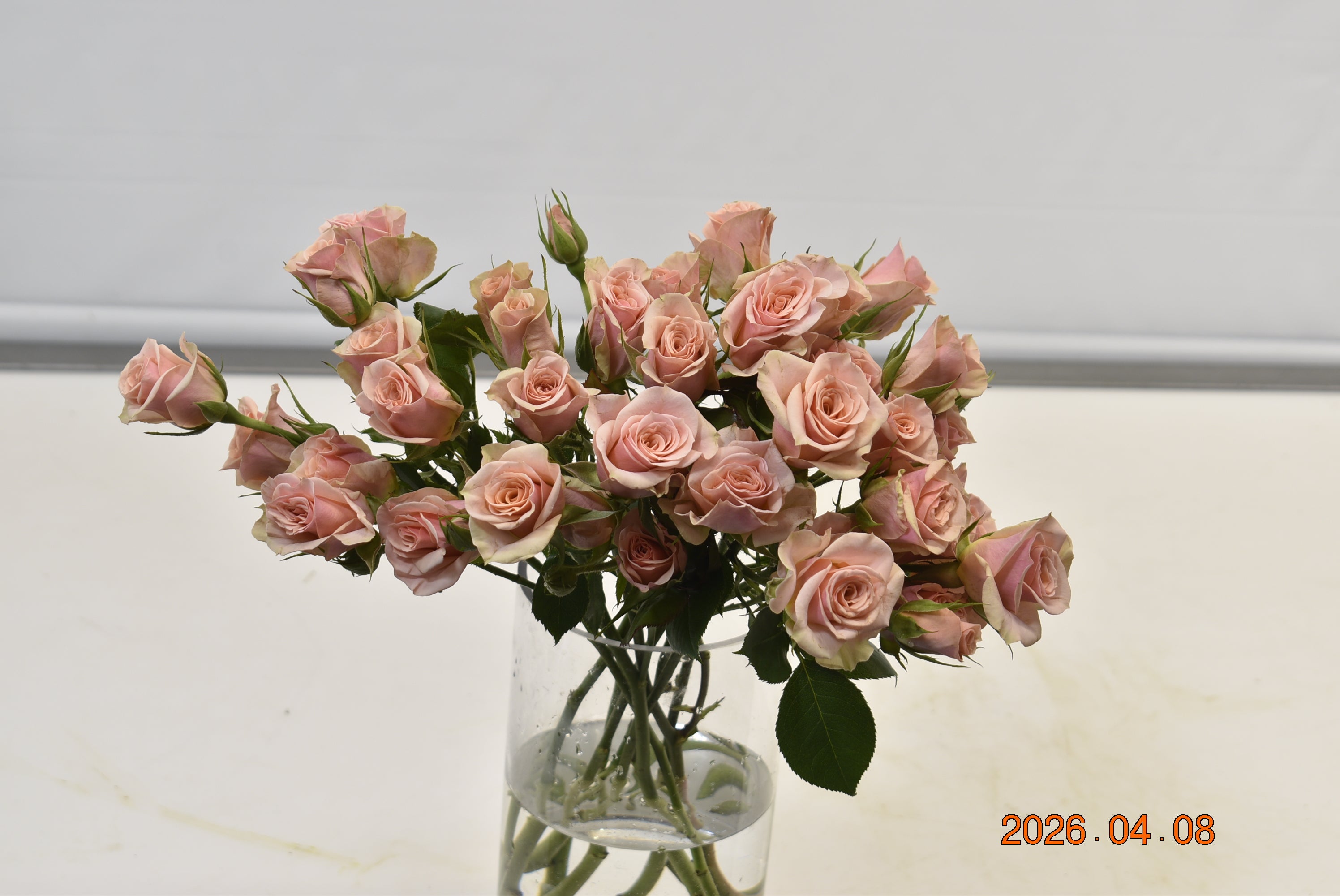 Rose Spray Peach Large