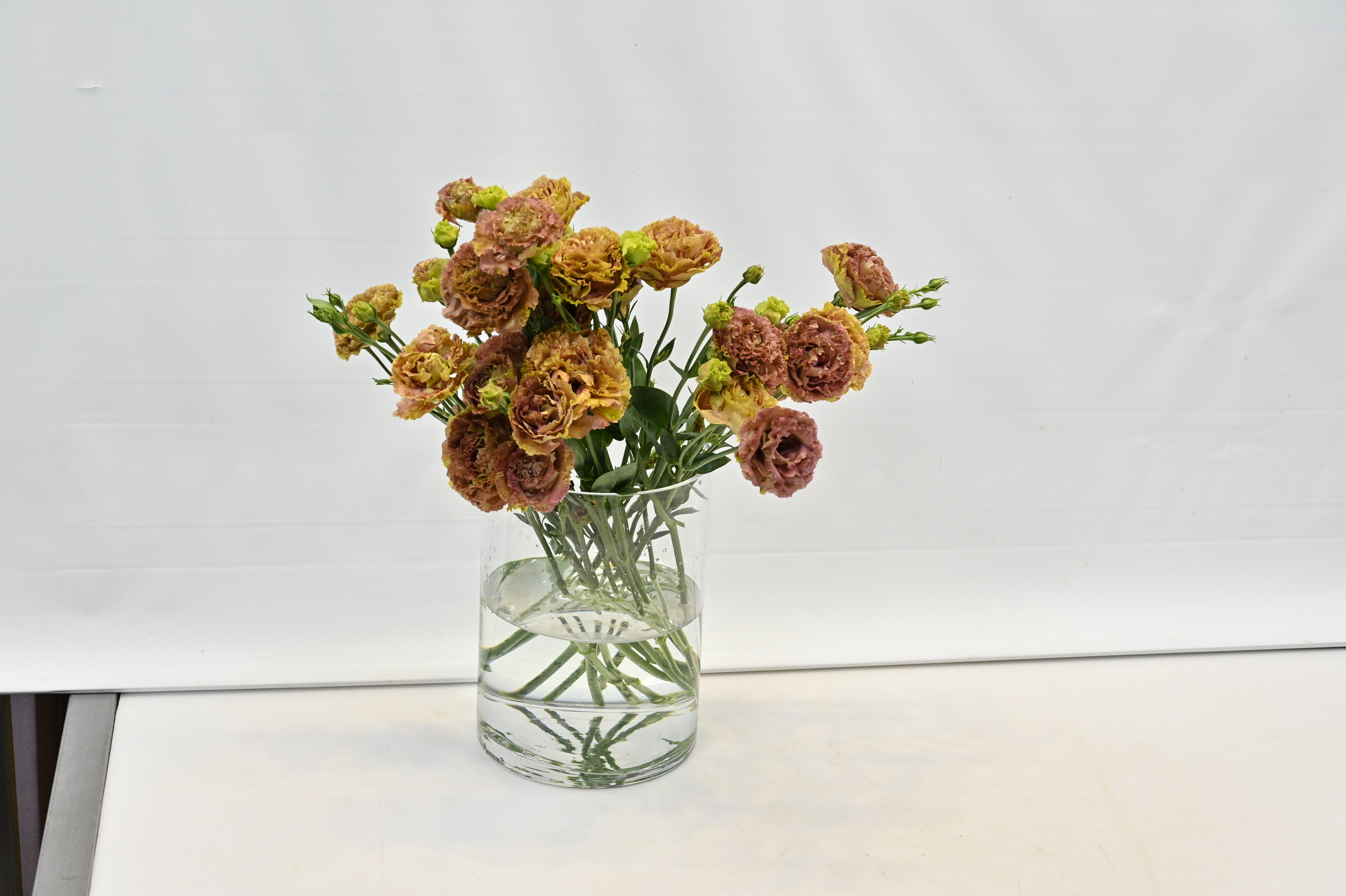 Lisianthus Terracotta Large