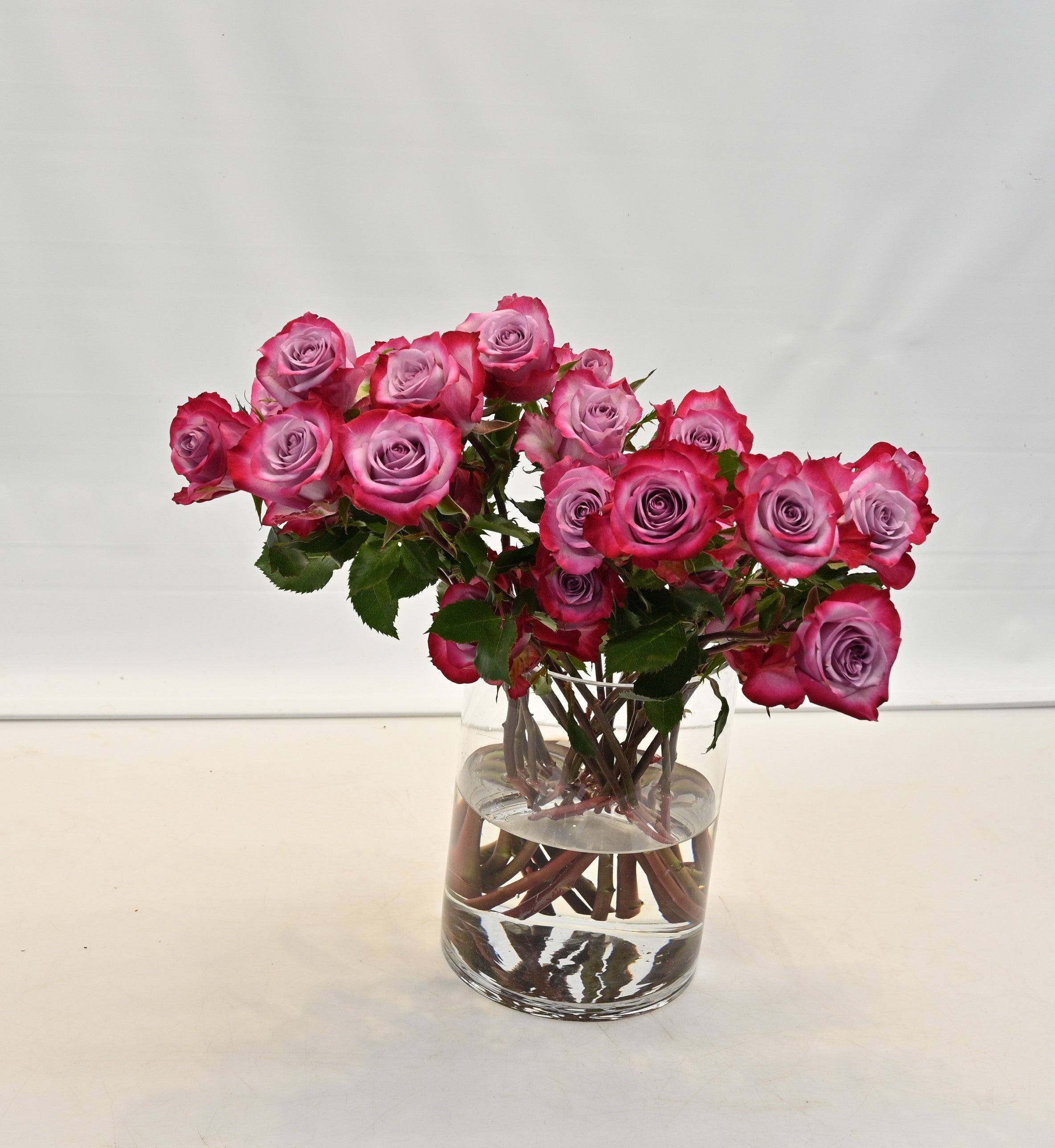 ROSE DEEP PURPLE Large