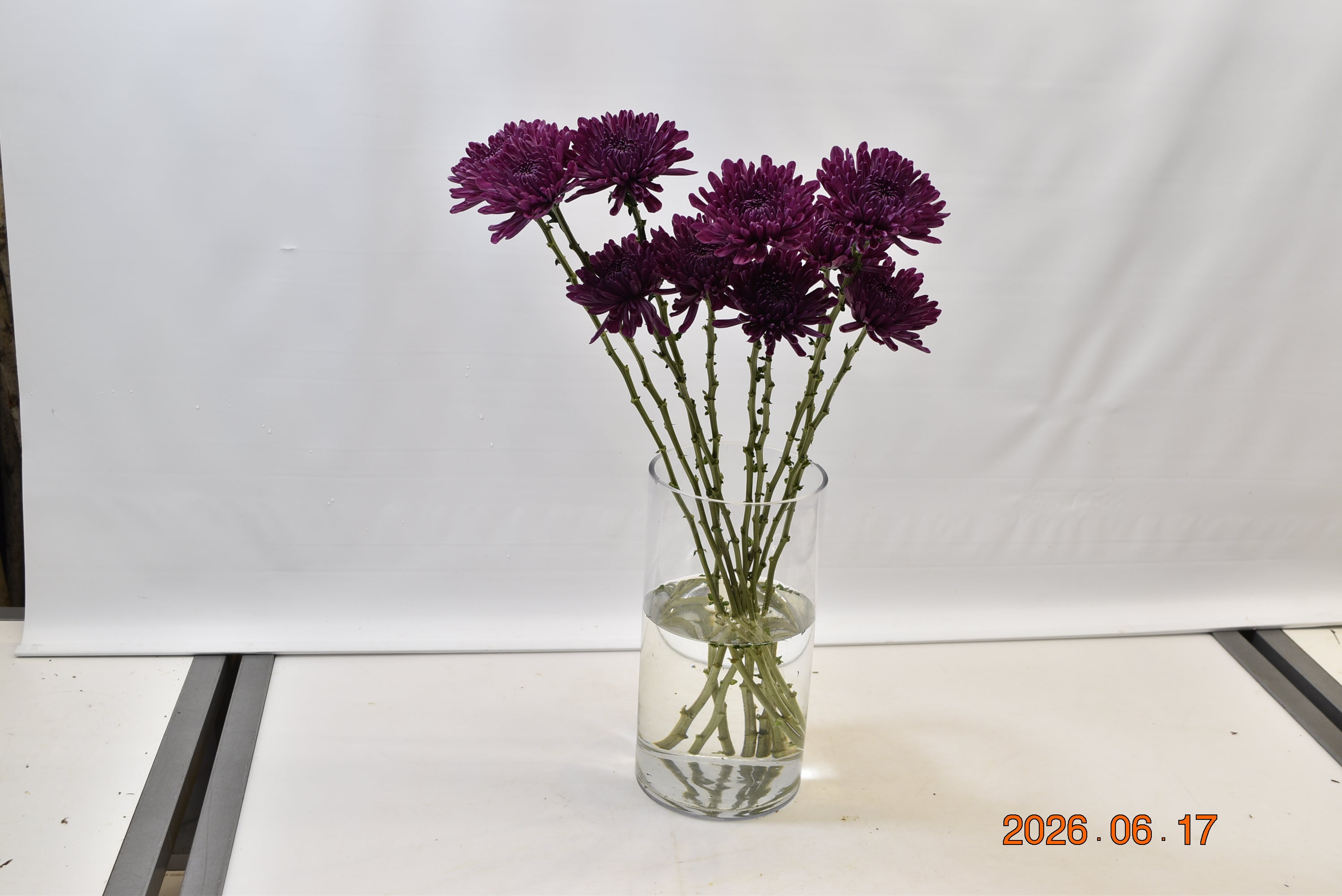 CREMONE PURPLE ANDREA Large