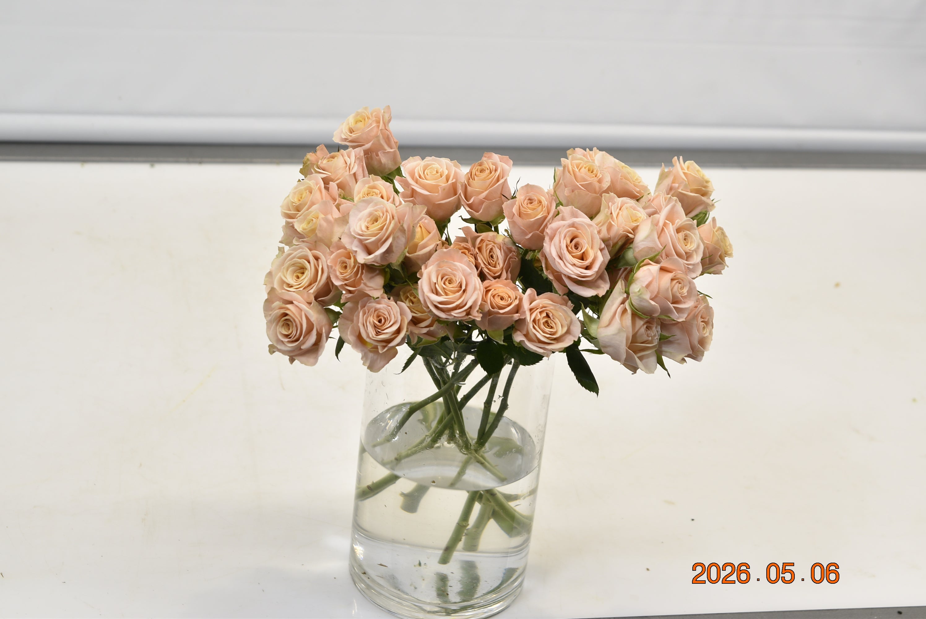 Rose Spray Apricot Jewel Large