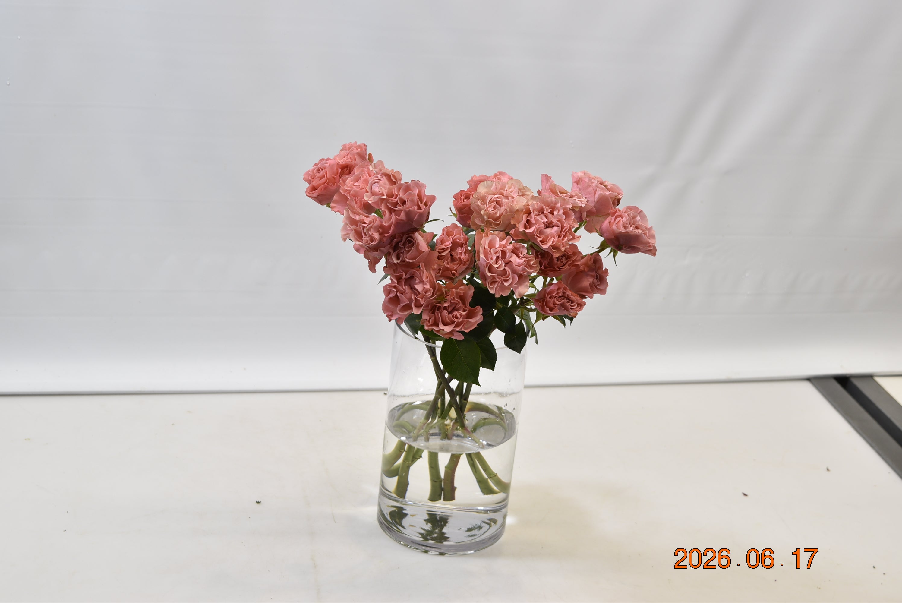 Rose Spray Valentina Large