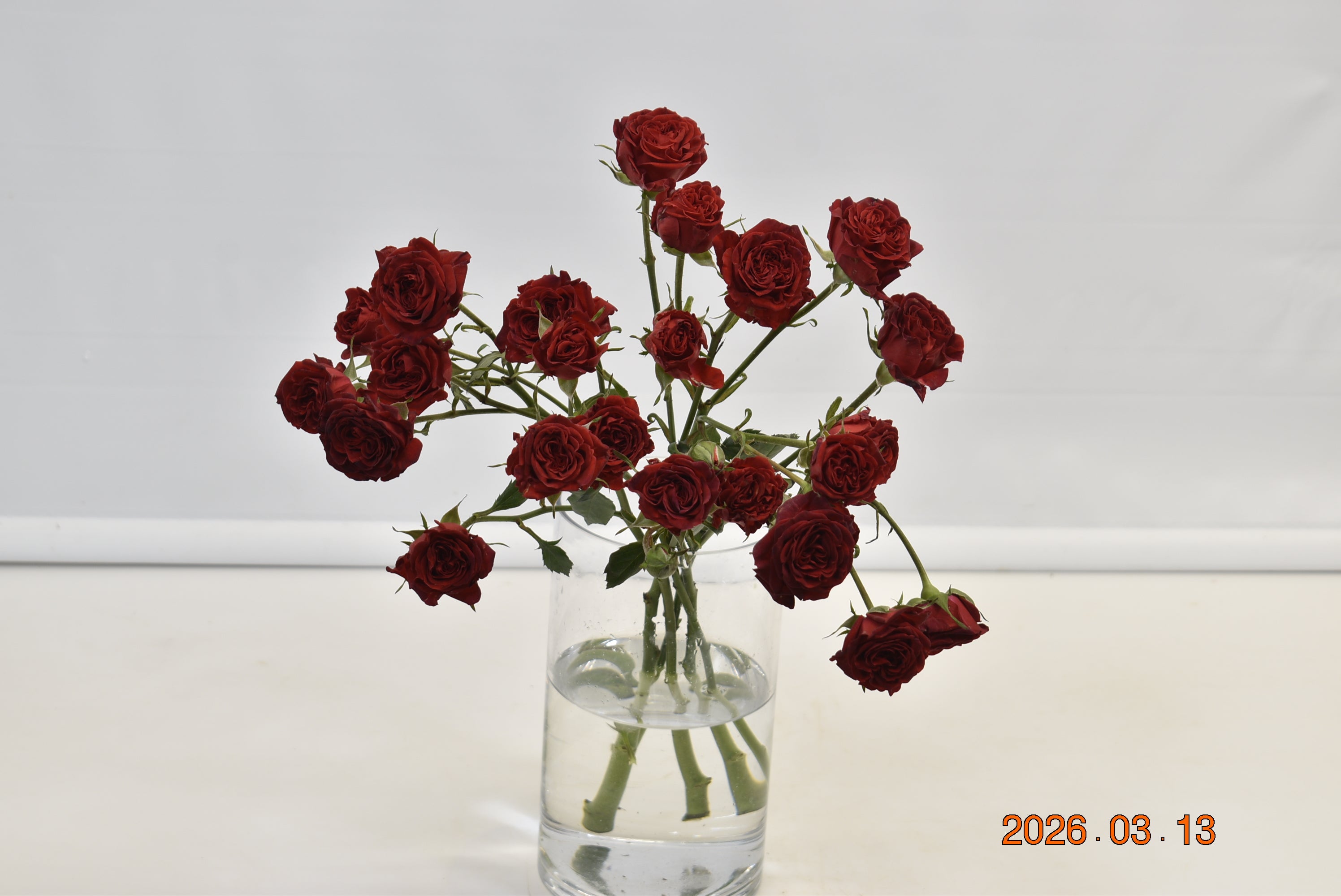 Rose That's Red Jewel Large