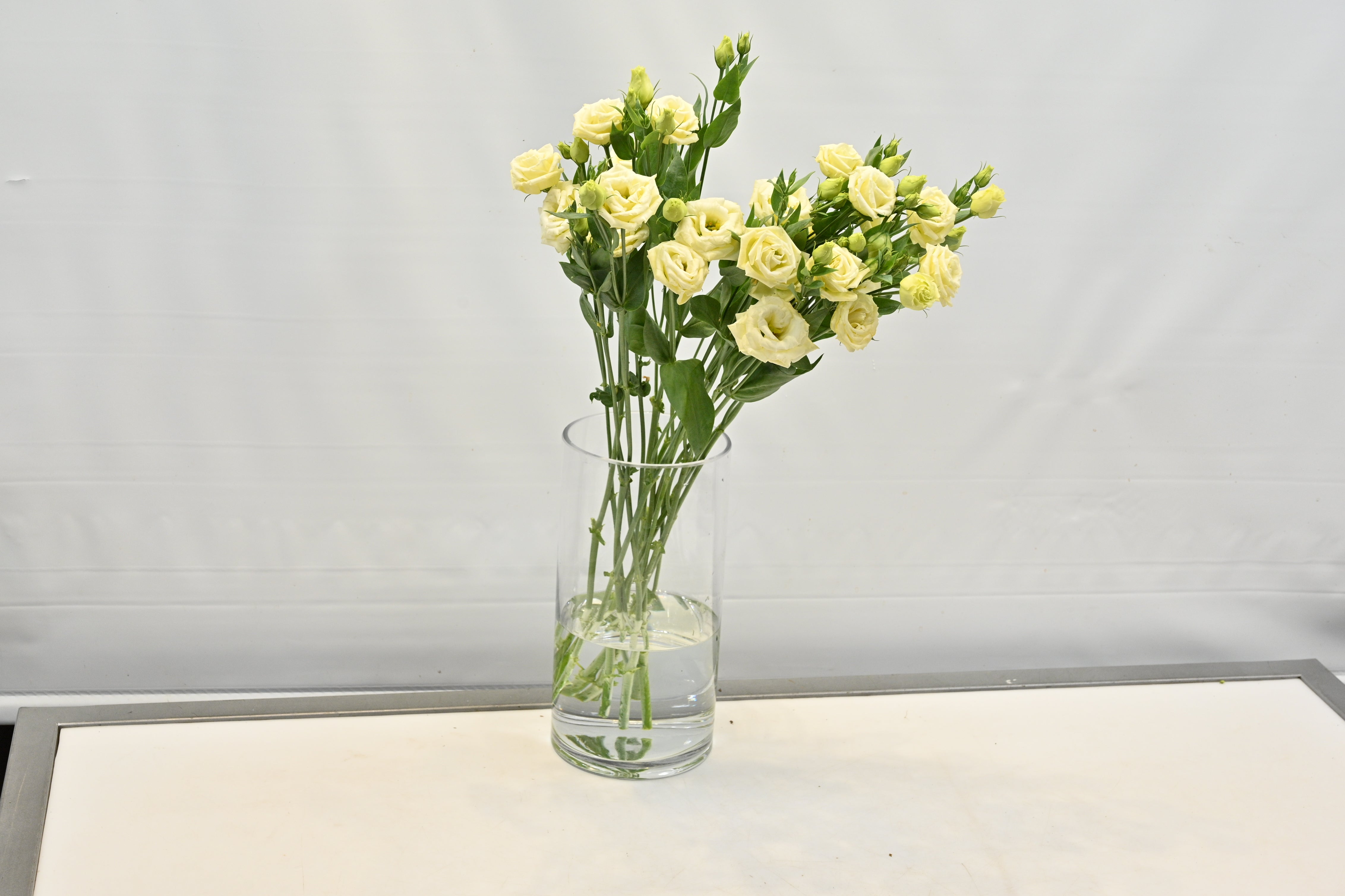 LISIANTHUS YELLOW RF Large