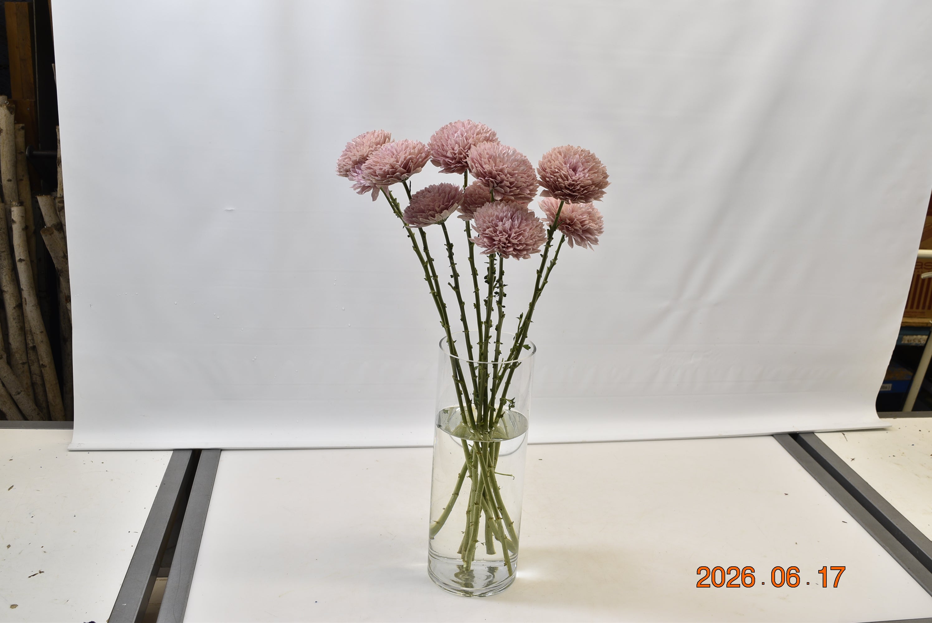 Cremone Boda Large