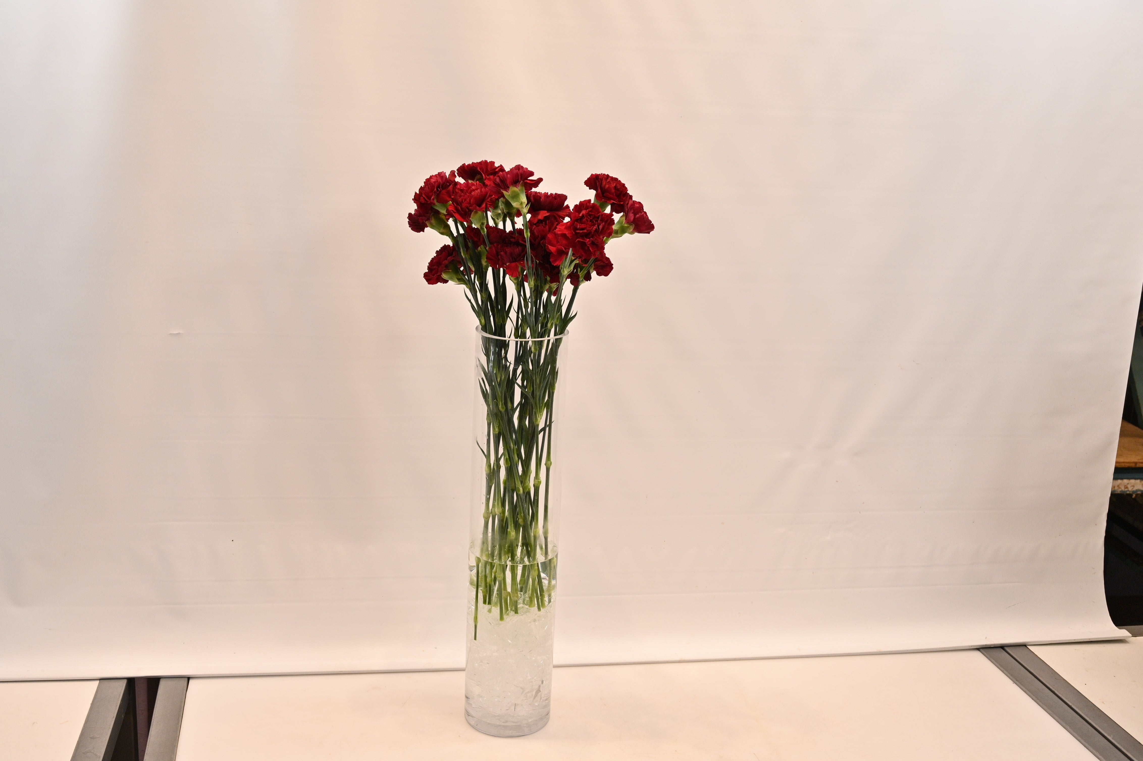 CARNATION BURGUNDY Large