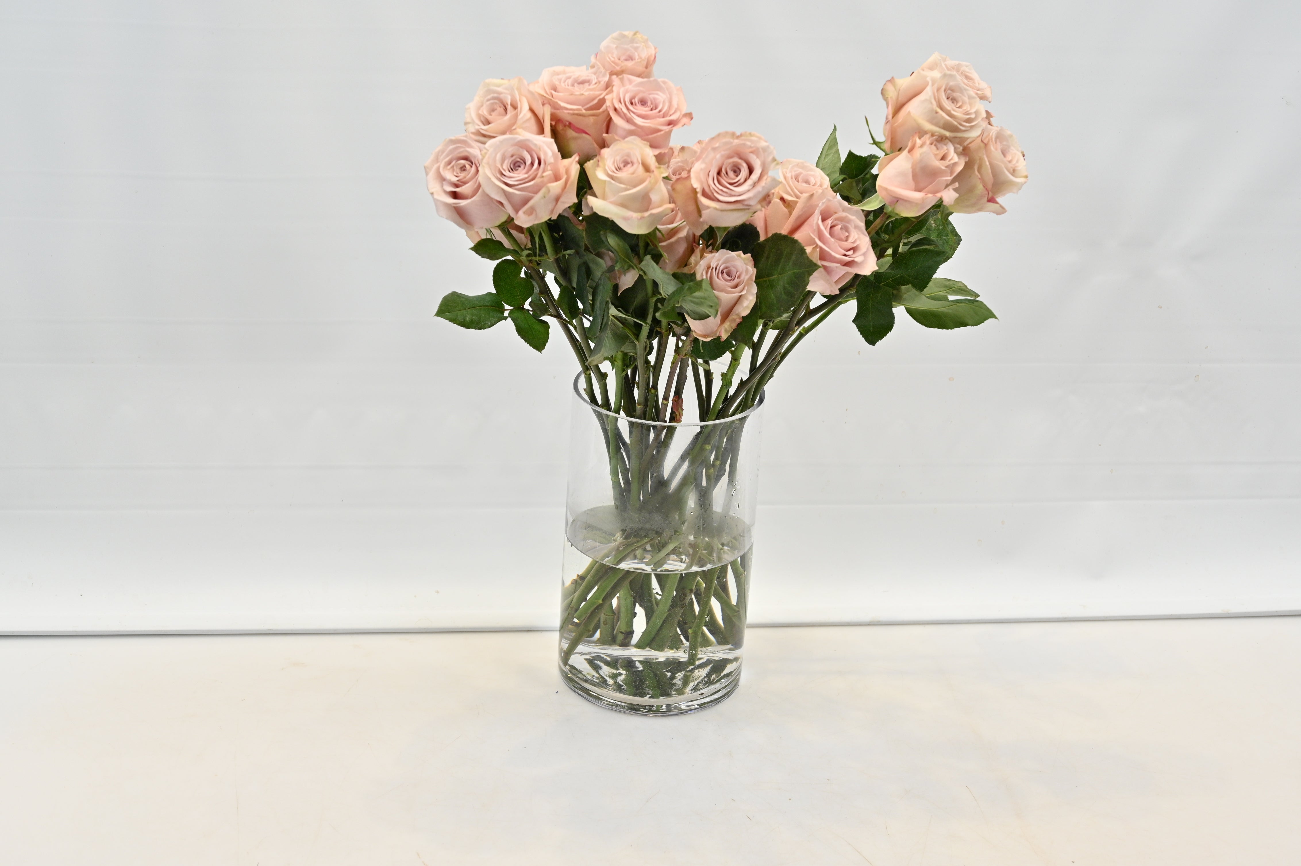 ROSE QUICKSAND Large