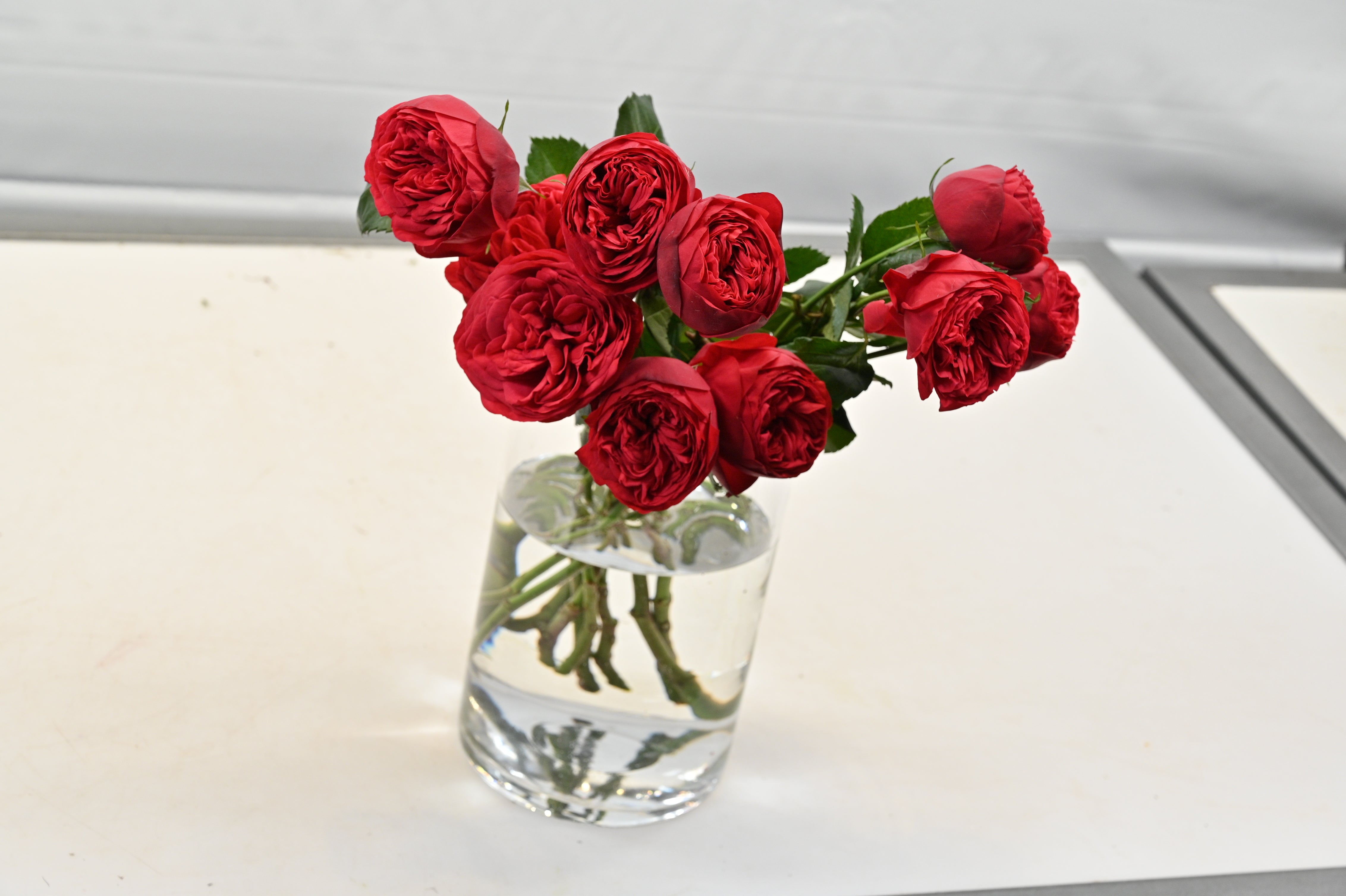 ROSE SPRAY RED PIANO Large