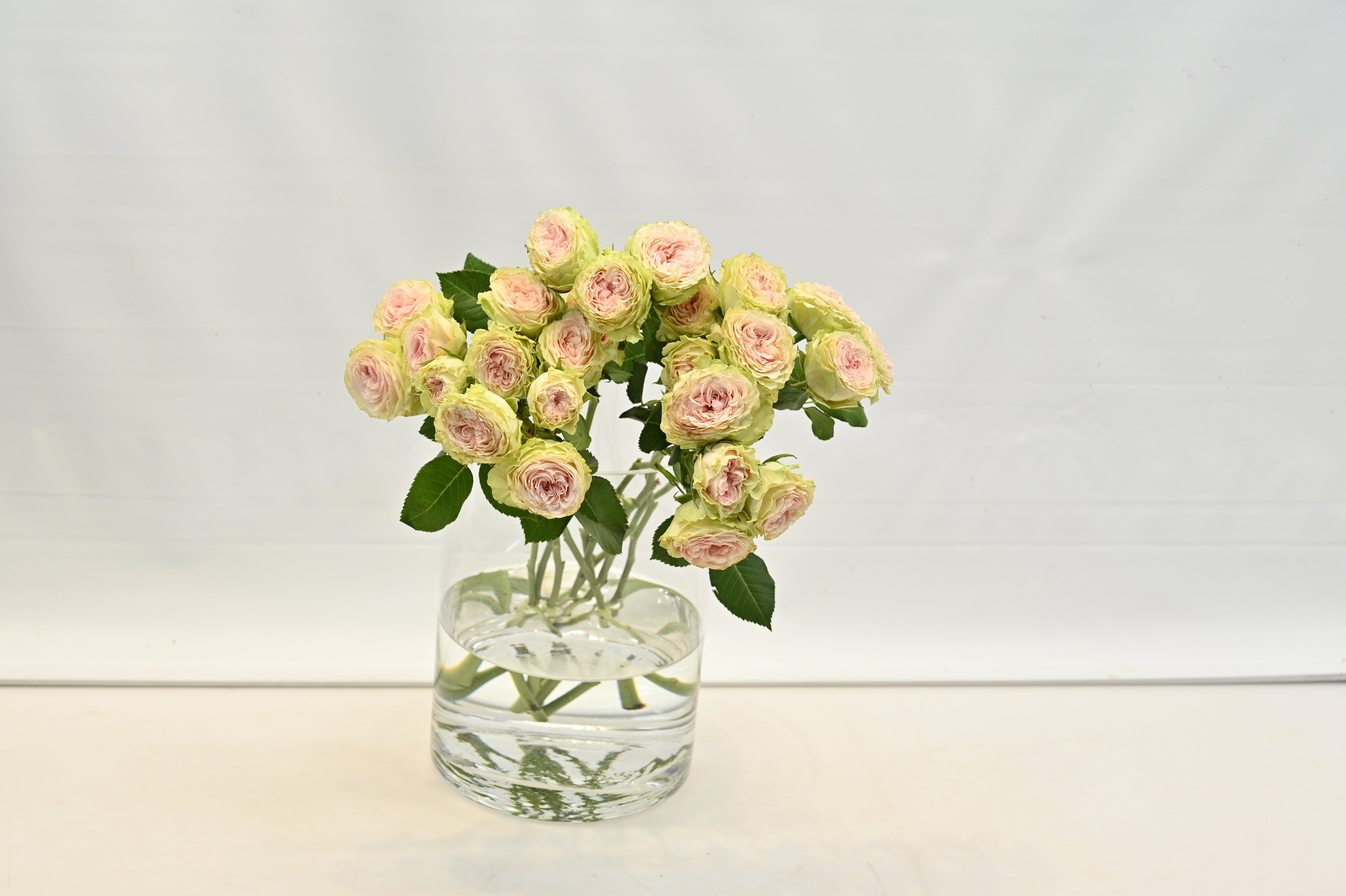 Rose Spray Fibonacci Yantra Large