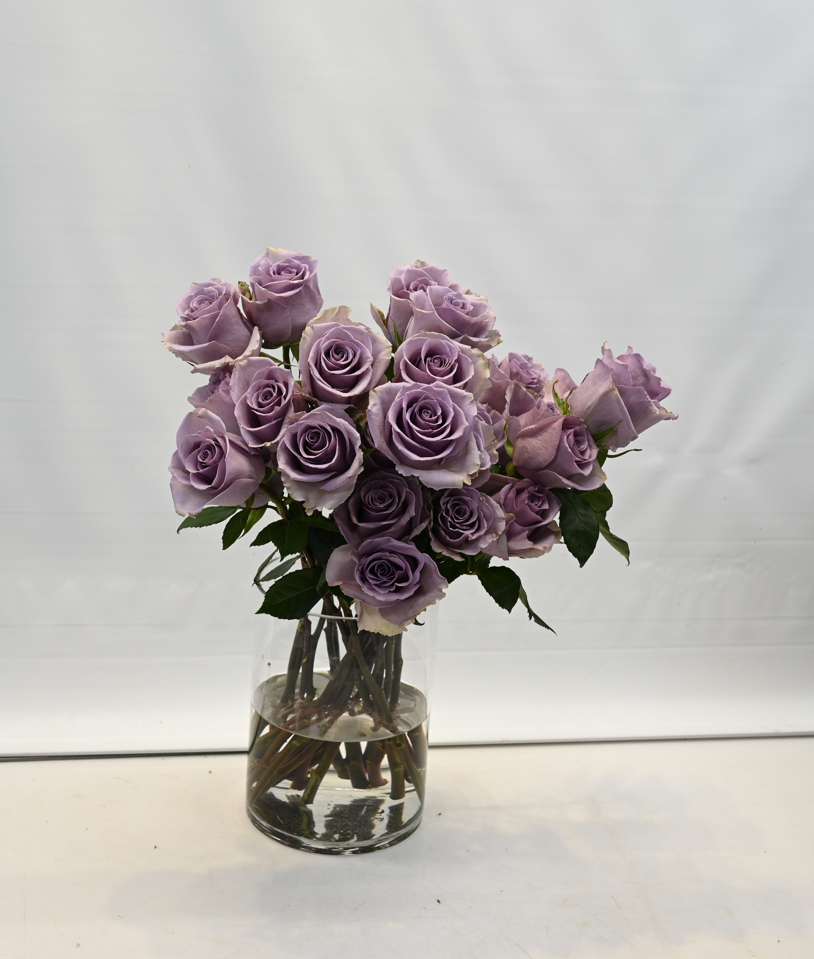 Rose Shocking Blue Large