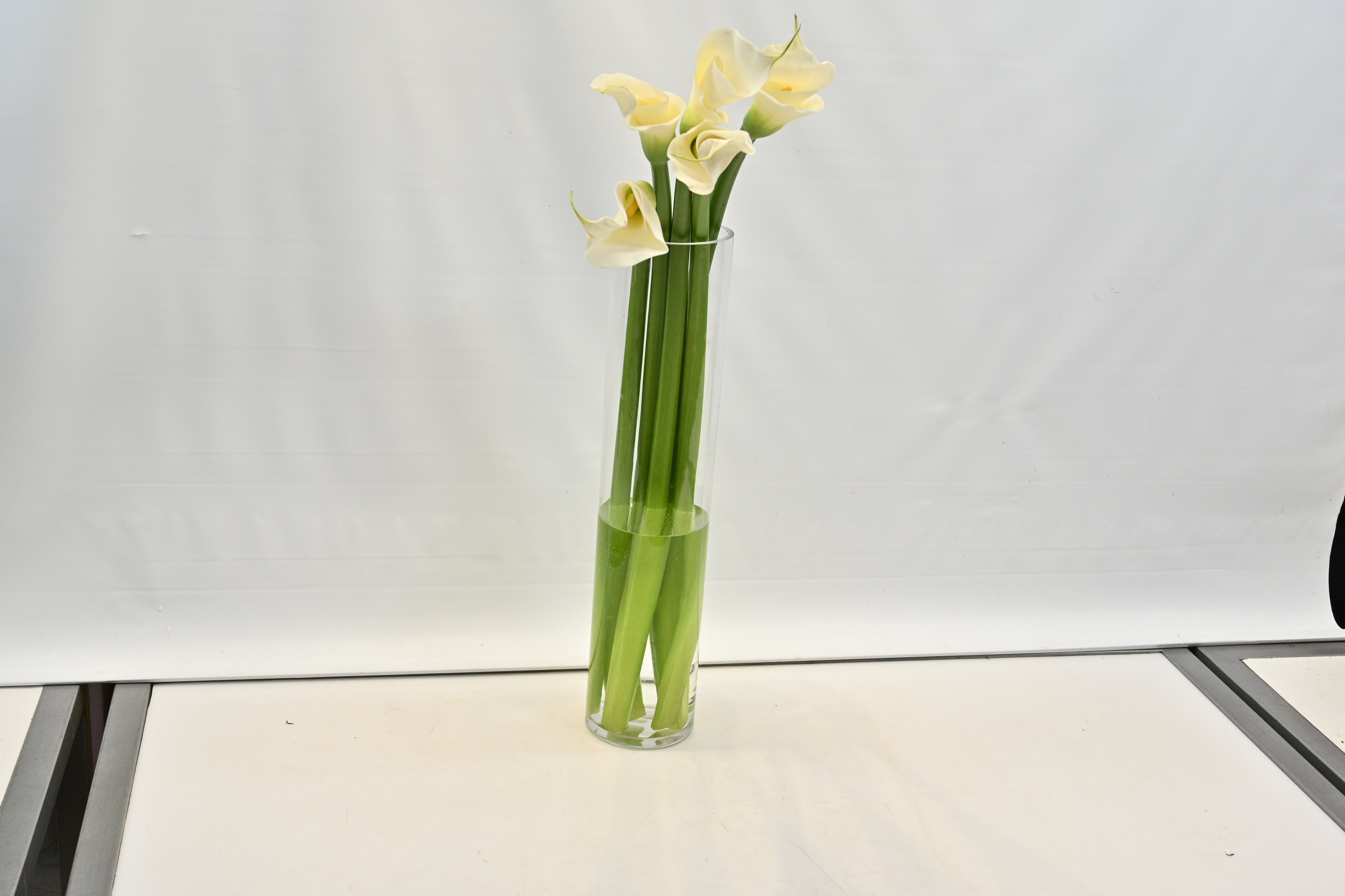 CALLA WHITE Large