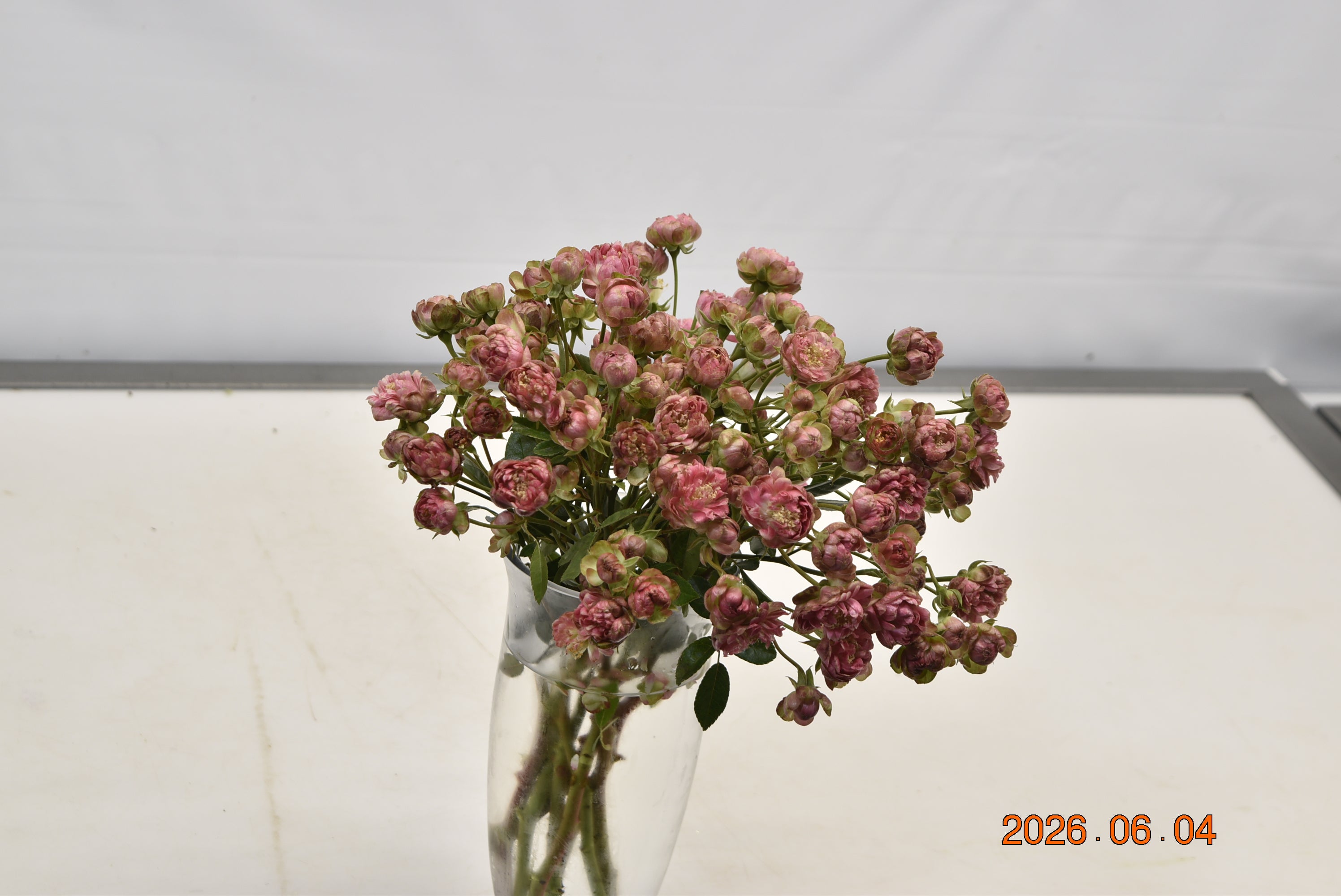 Rose Spray Gypsy Cherry Large
