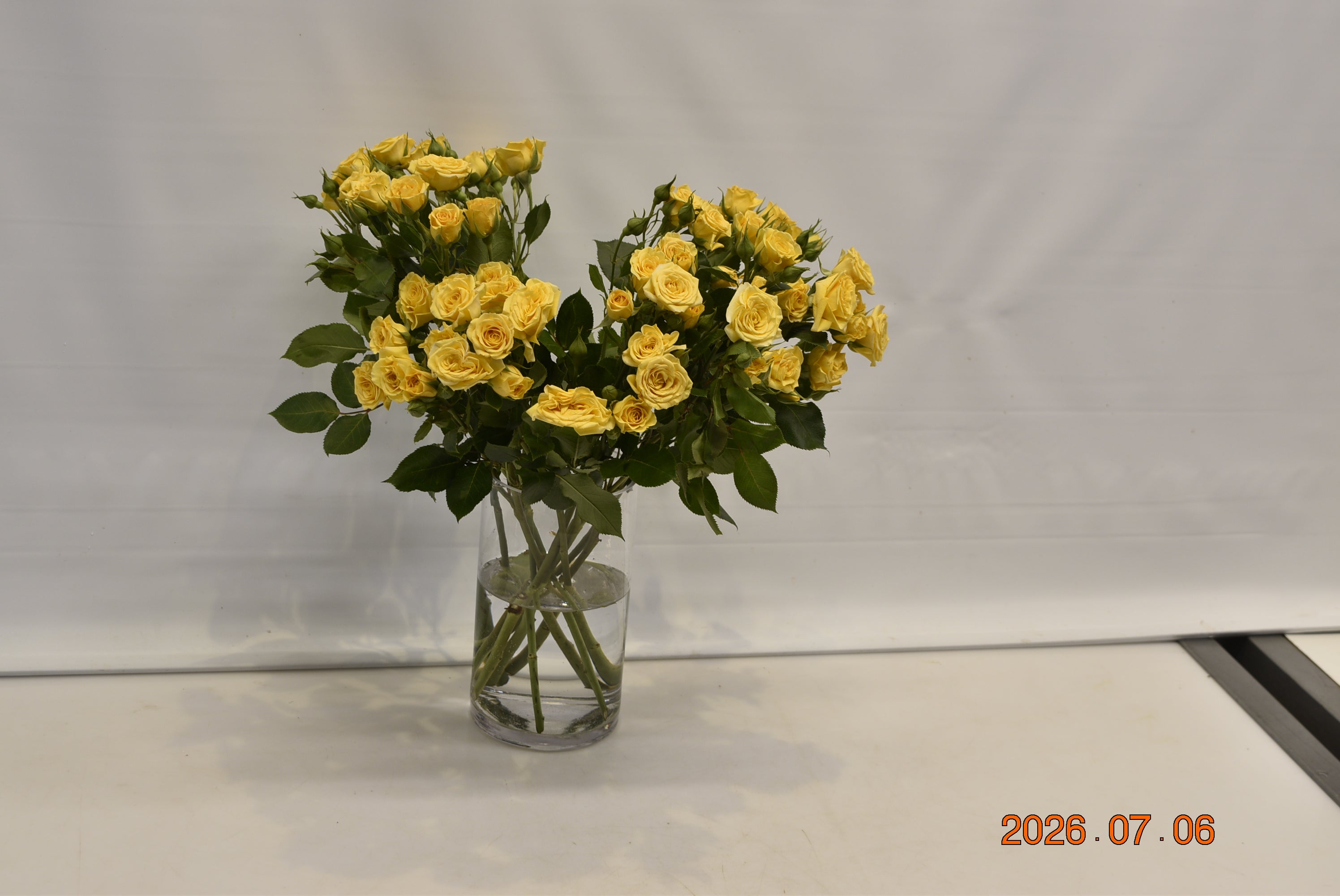 ROSE SPRAY YELLOW BABE Large