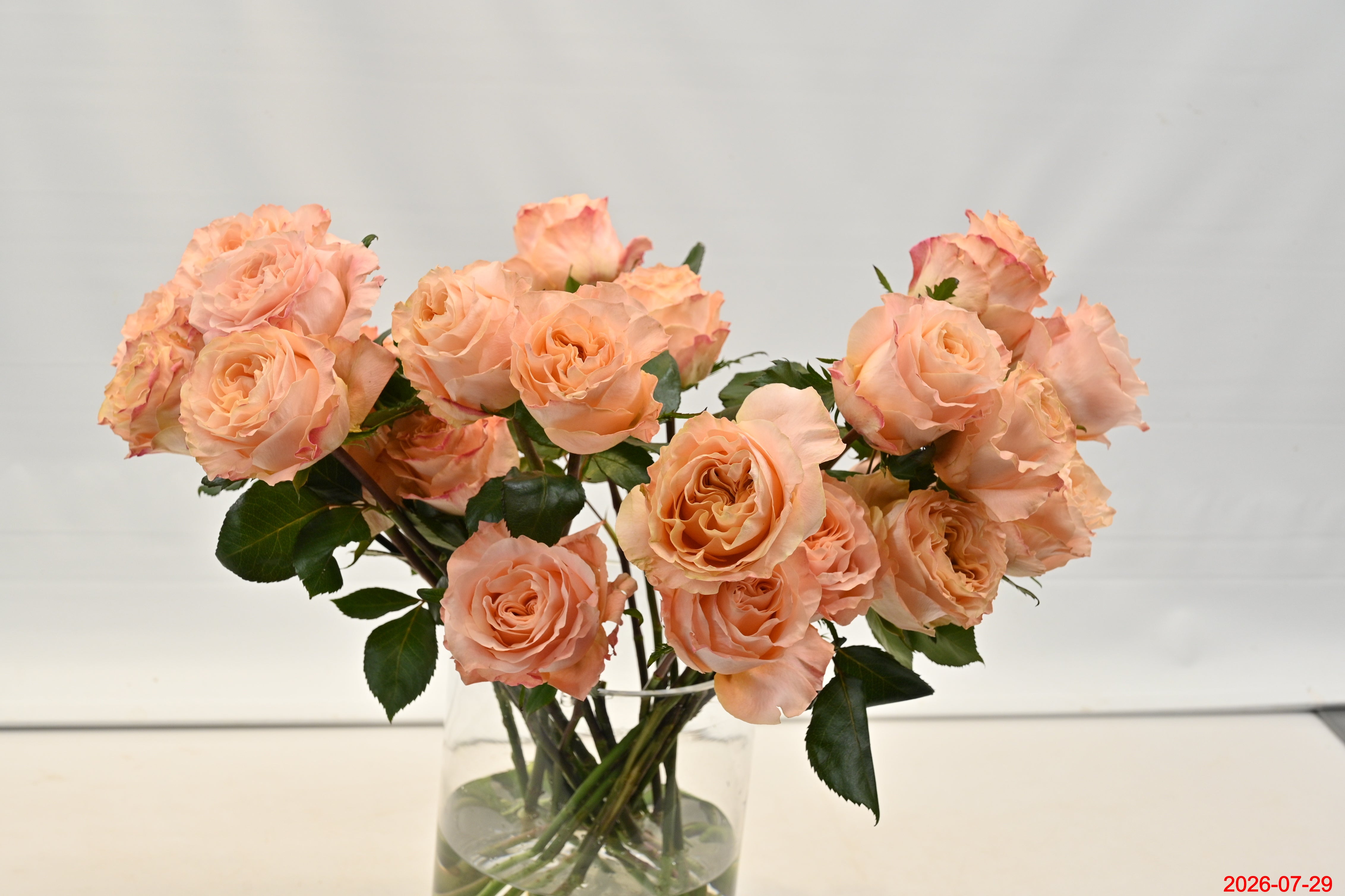 Rose Garden Princess Crown Large