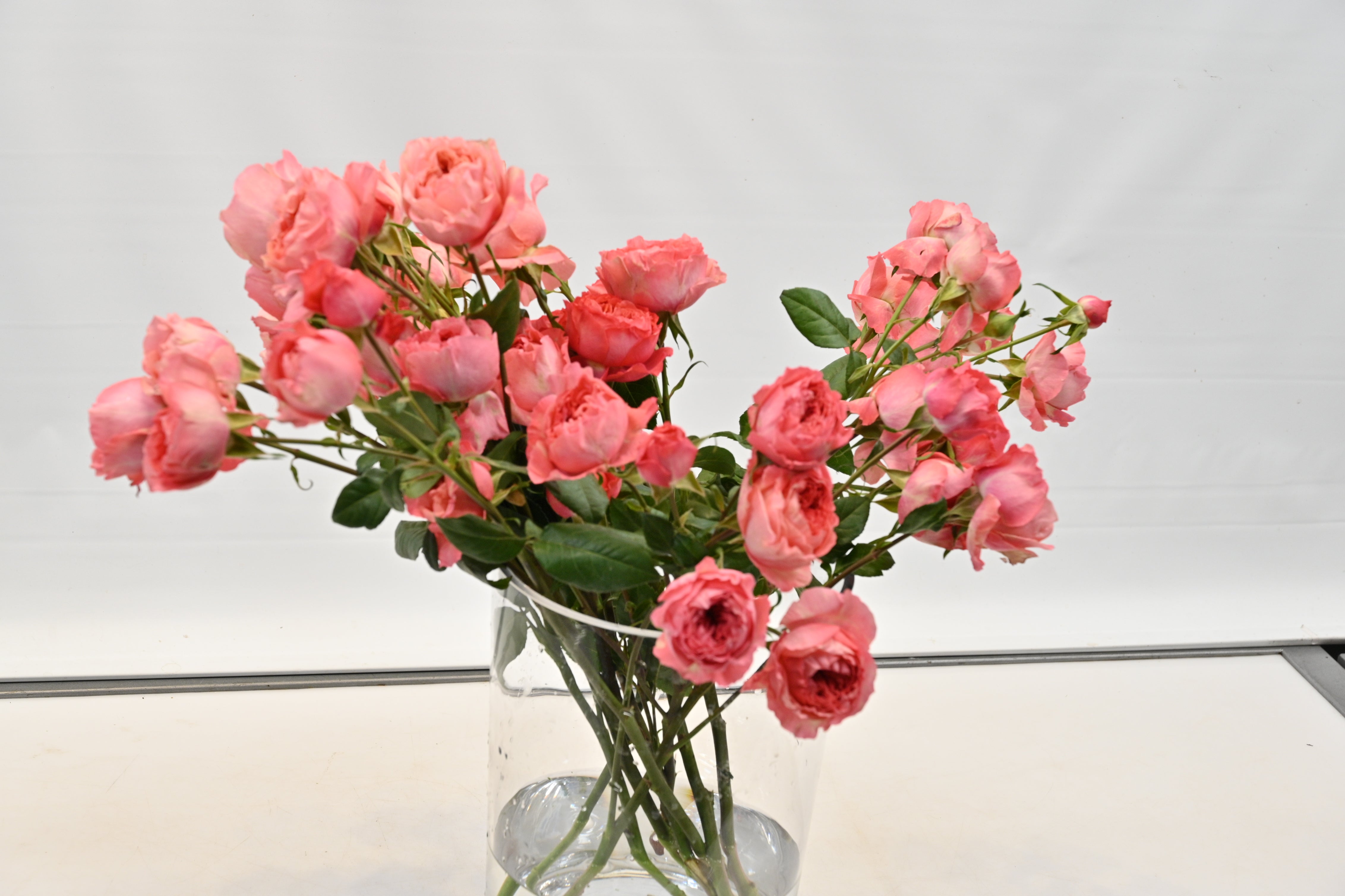 Rose Spray Boomerang Large