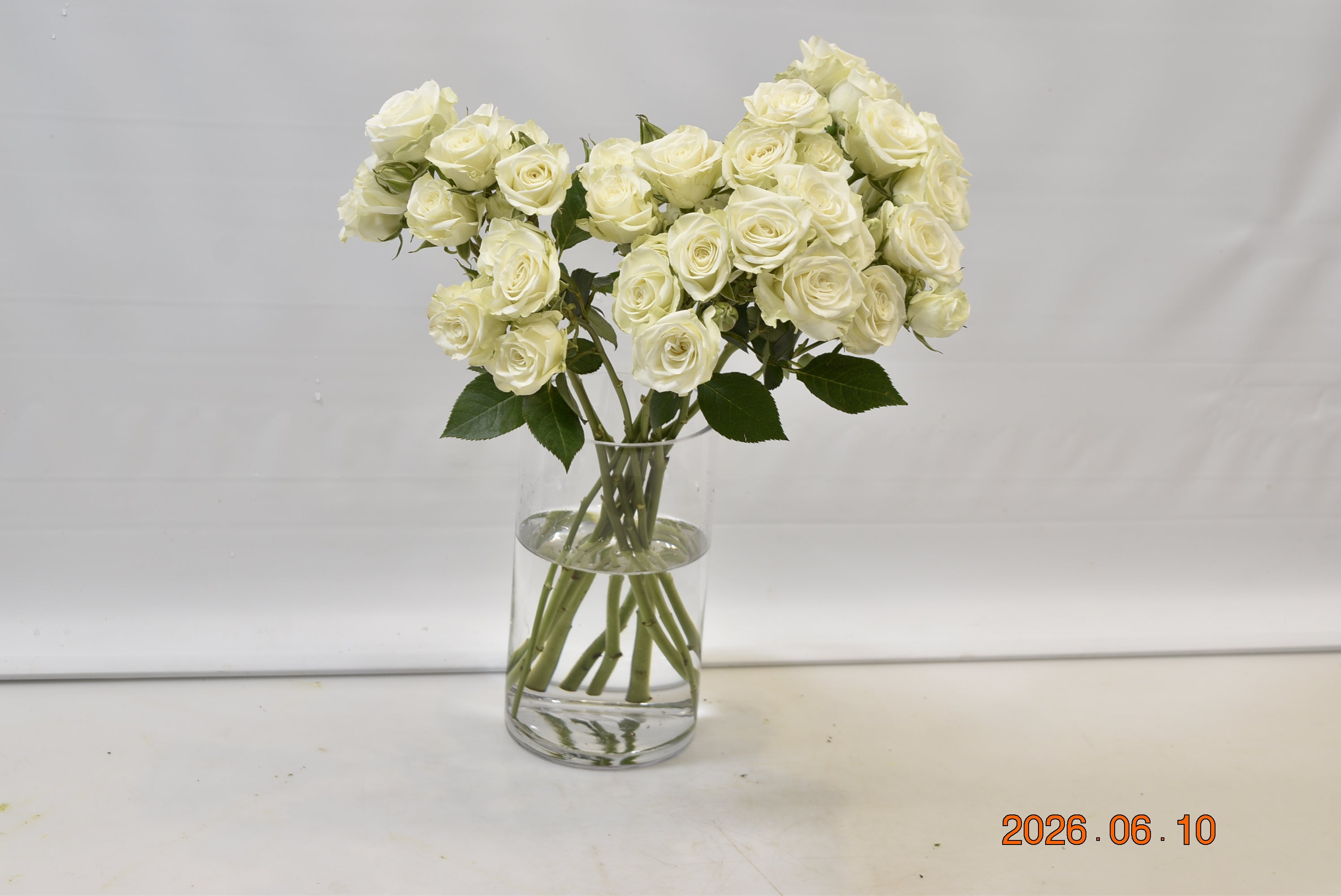 Rose Spray Floreana Large