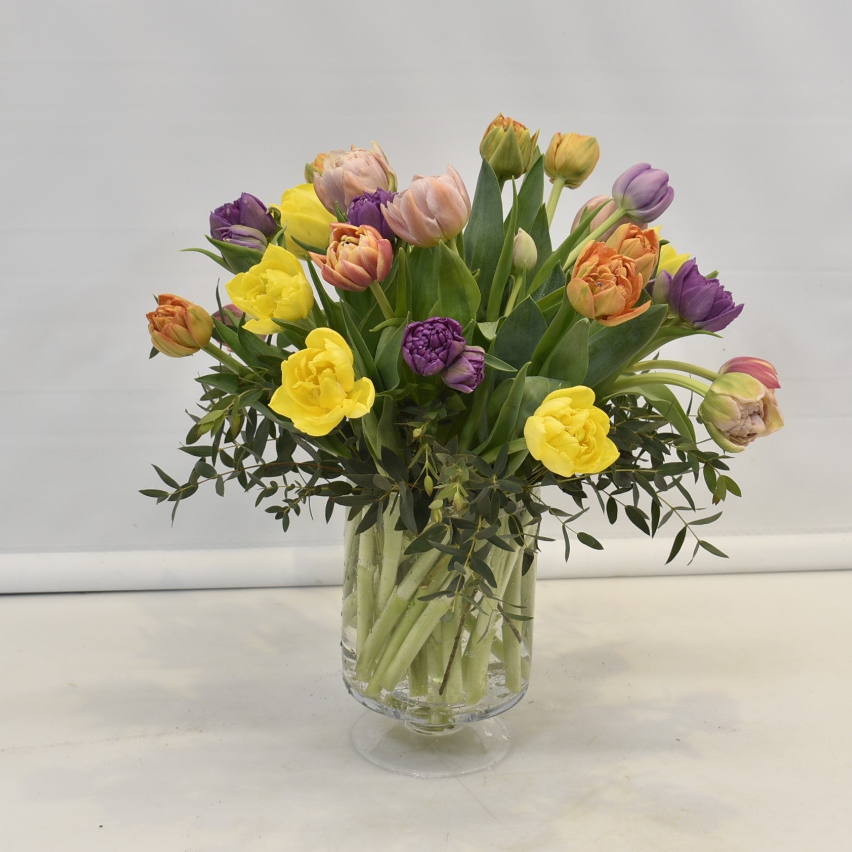 Tulip Rainbow Medley 