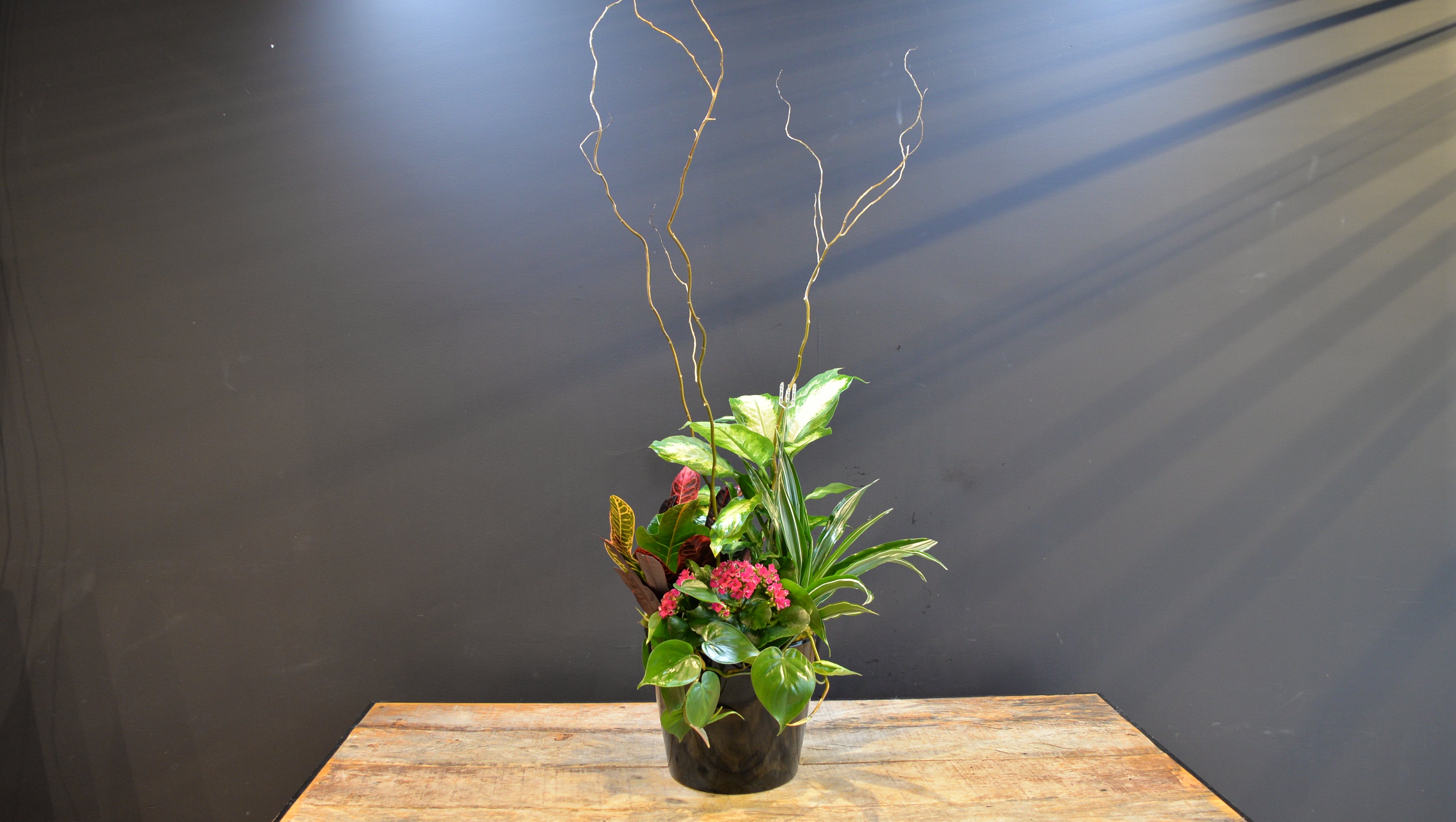 Black Tie Botanicals 