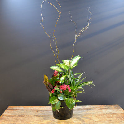 Black Tie Botanicals 