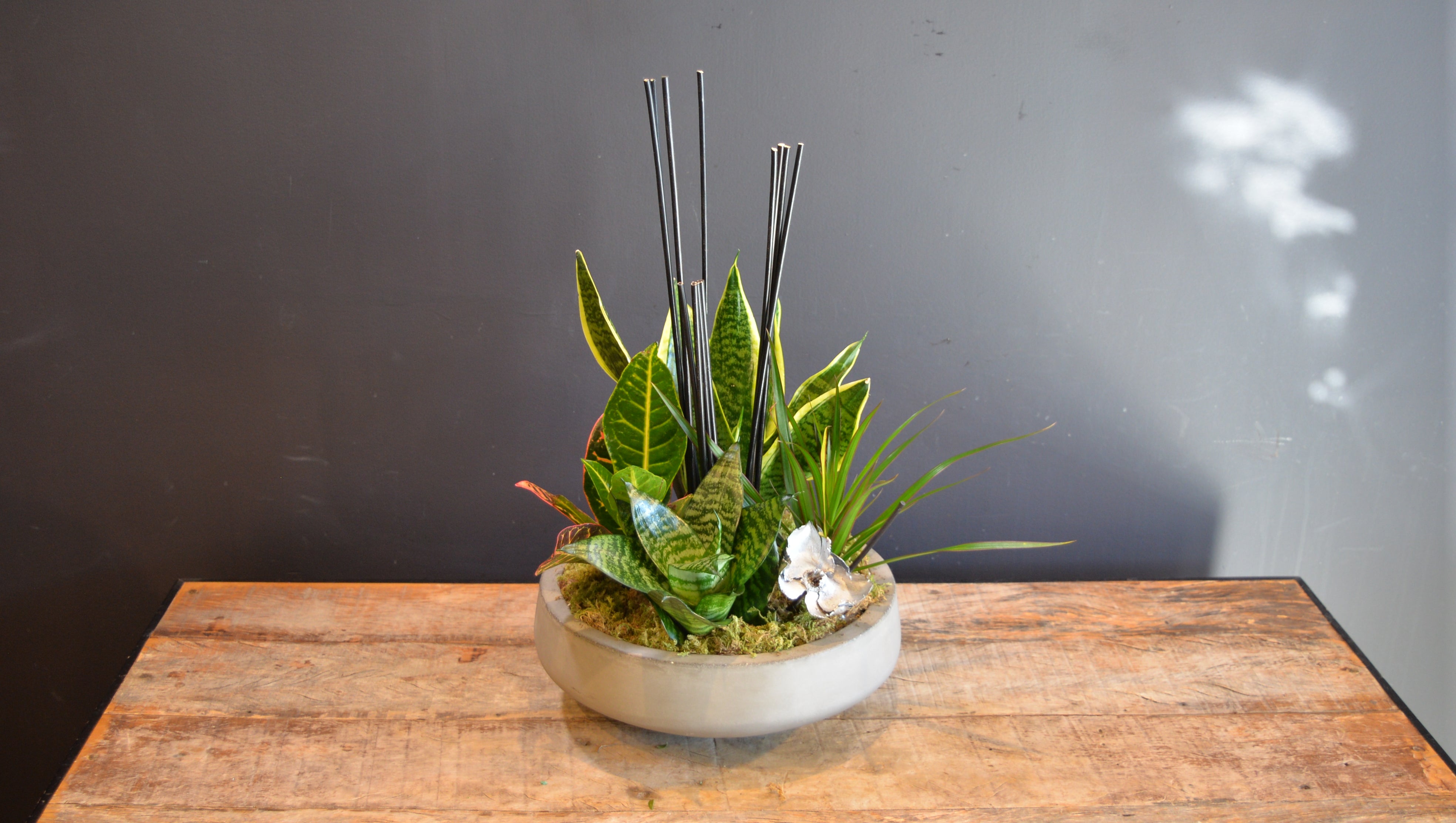 Concrete Jungle Planter 