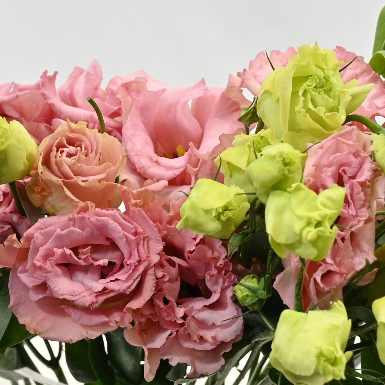LISIANTHUS DBL CORELLI 