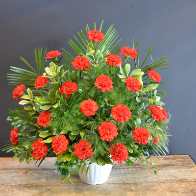 Boutique Funeral Carnation 24 Red 