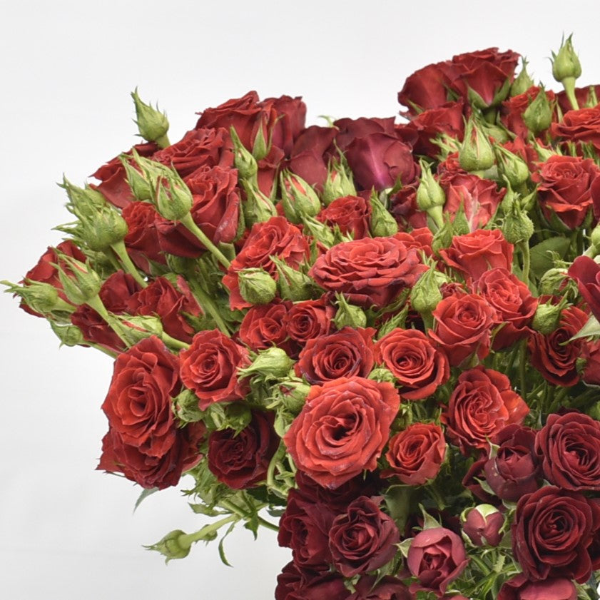 ROSE SPRAY RED MIKADO 