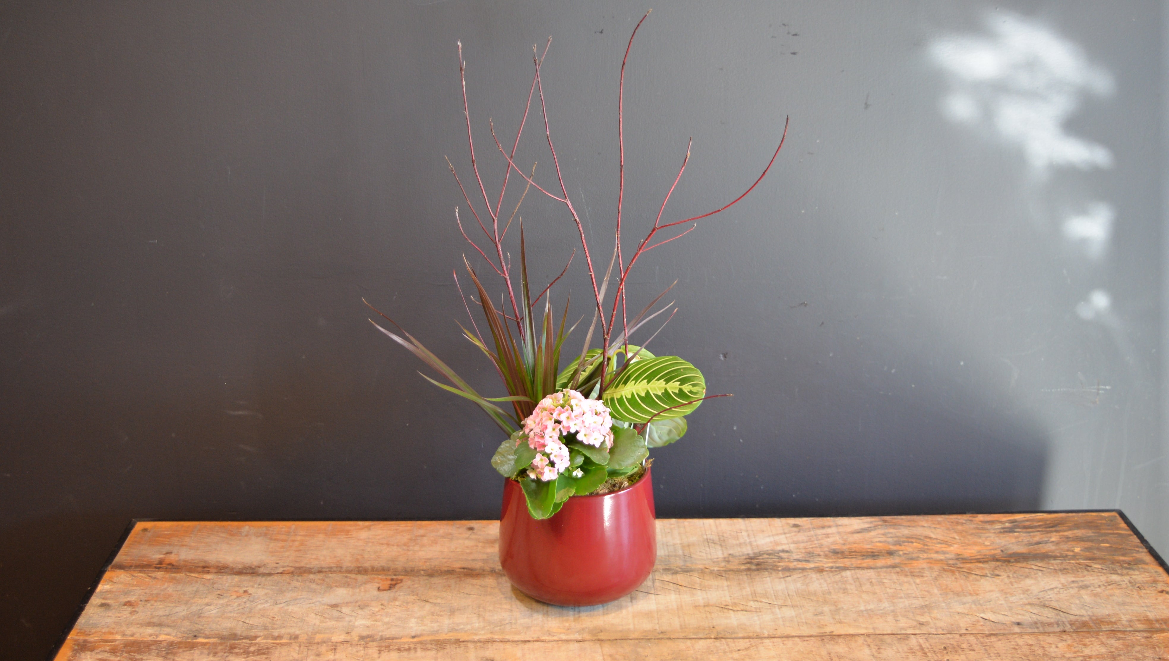 Be Mine Bloom Bowl 