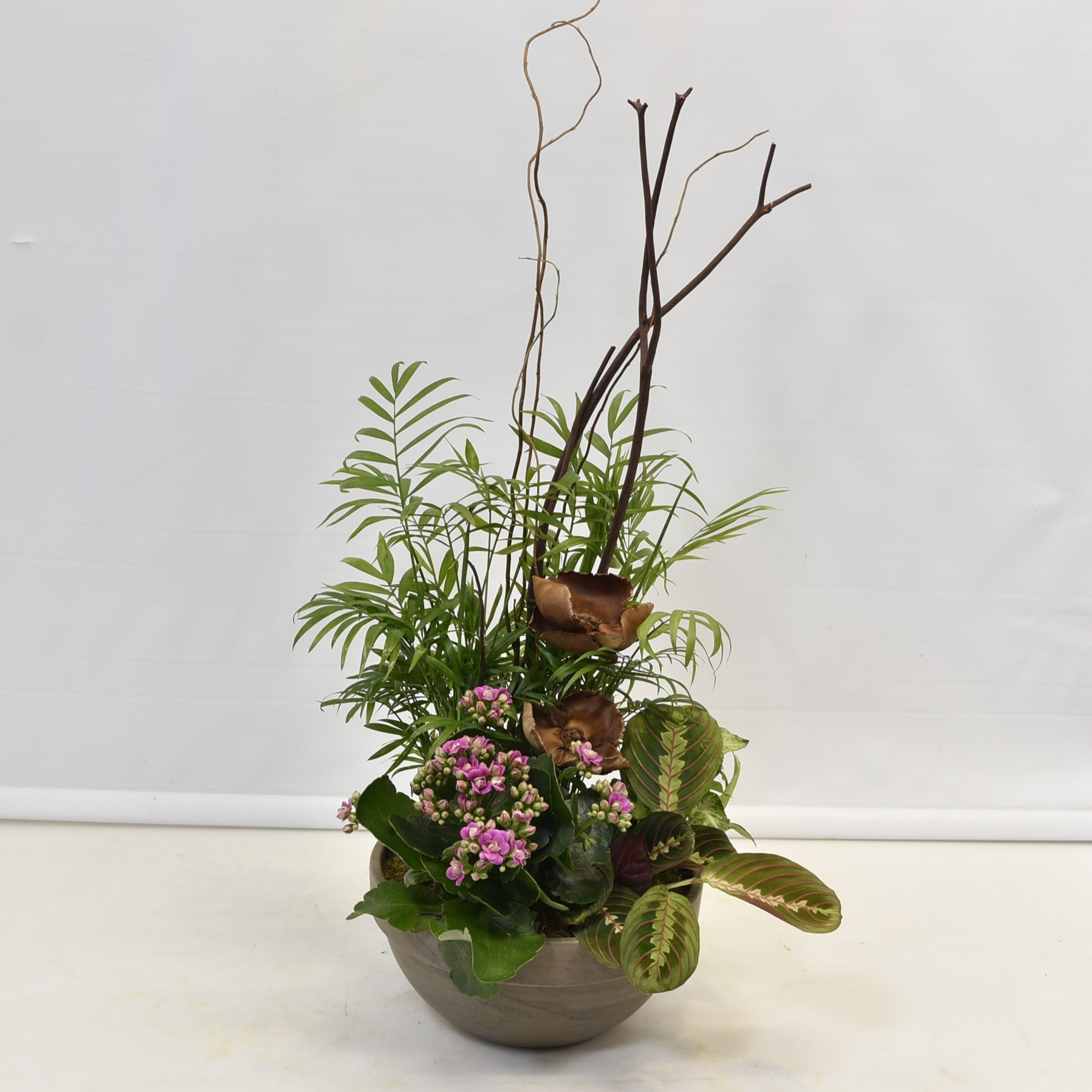 Fuchsia Forestry 
