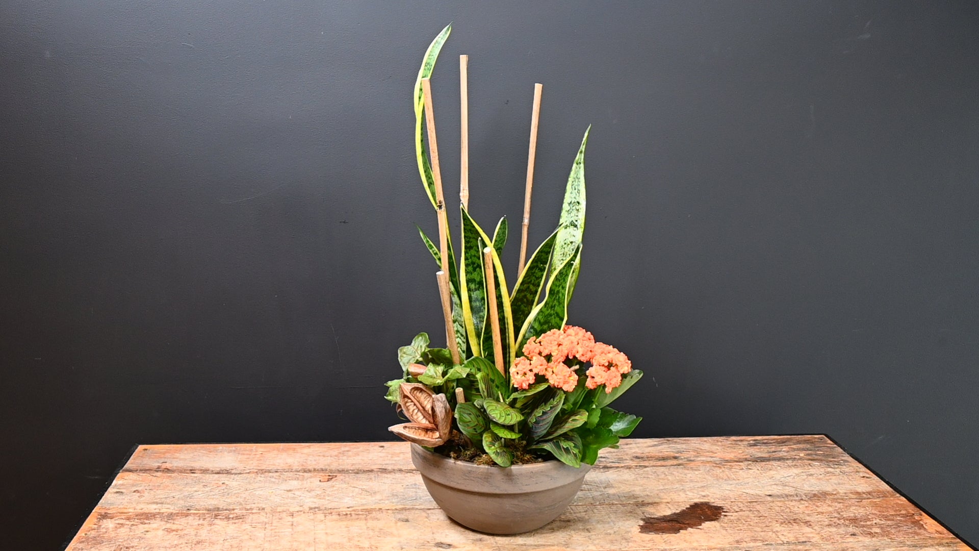 1 Tropical Paradise Planter 