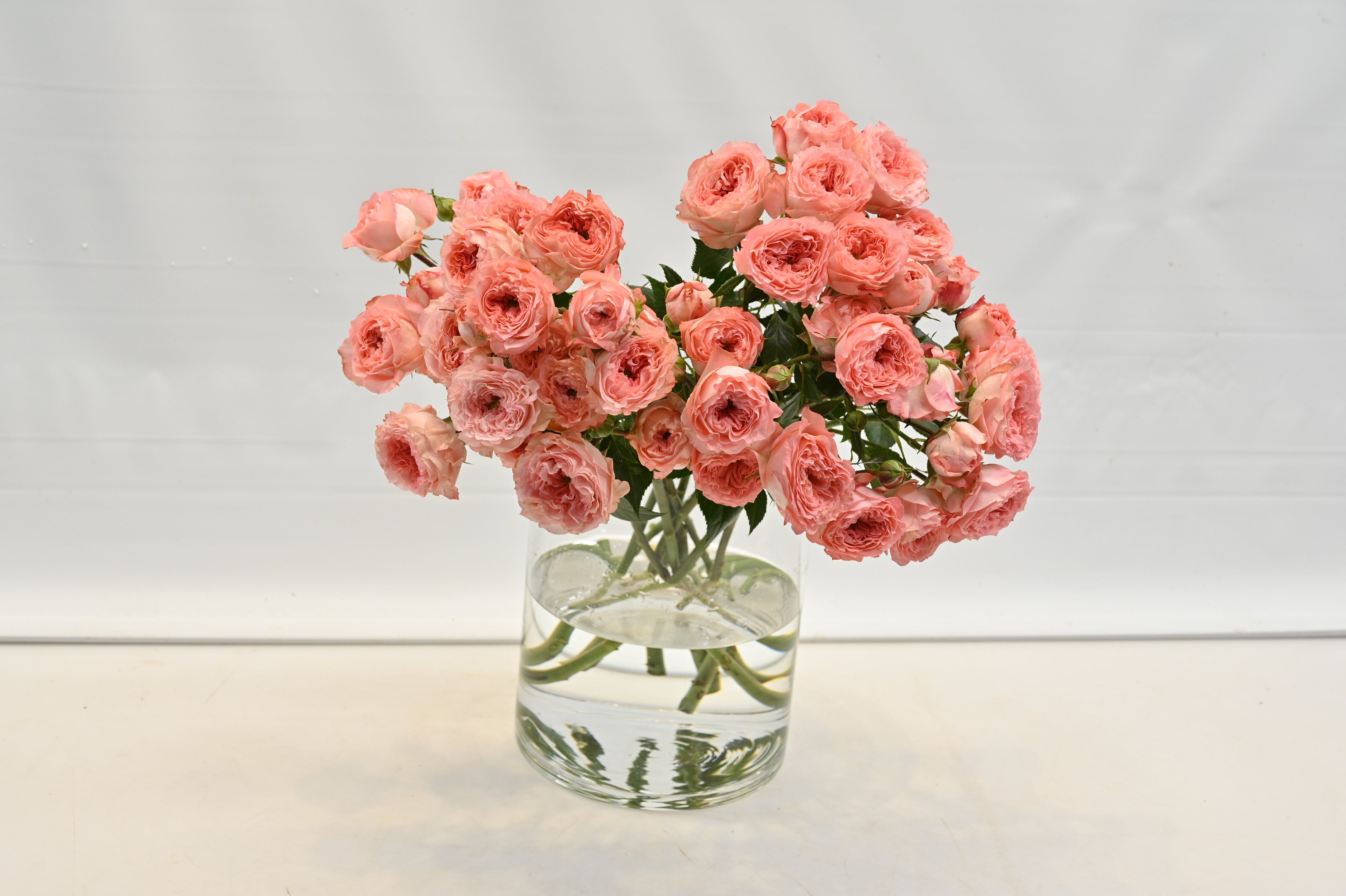 Rose Spray Isabella 