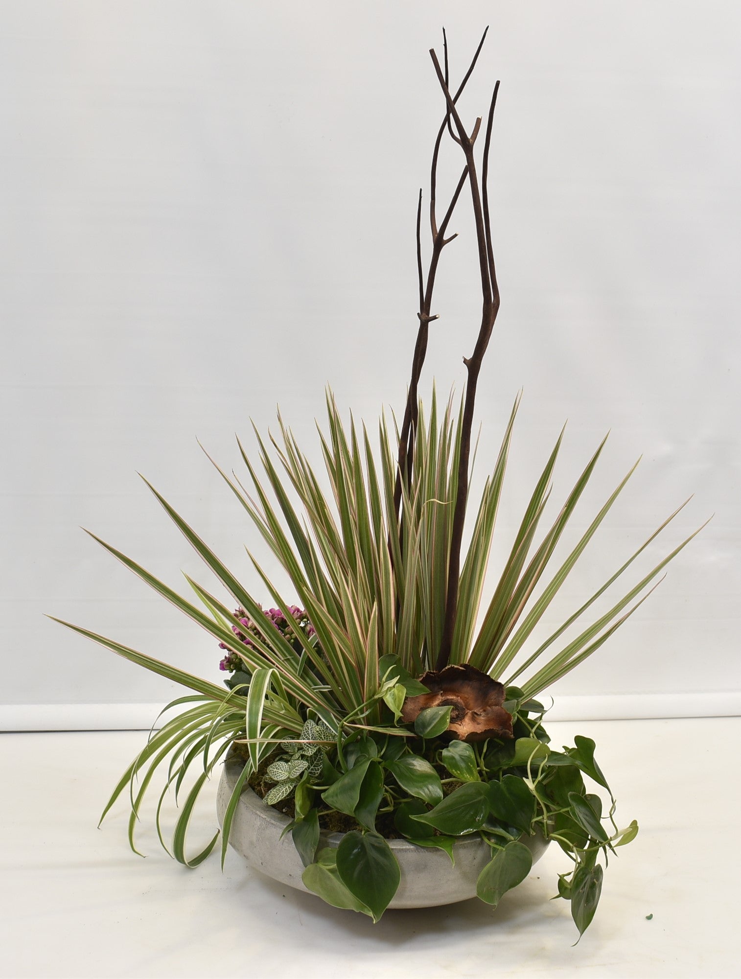 Metropolitan Rainforest 