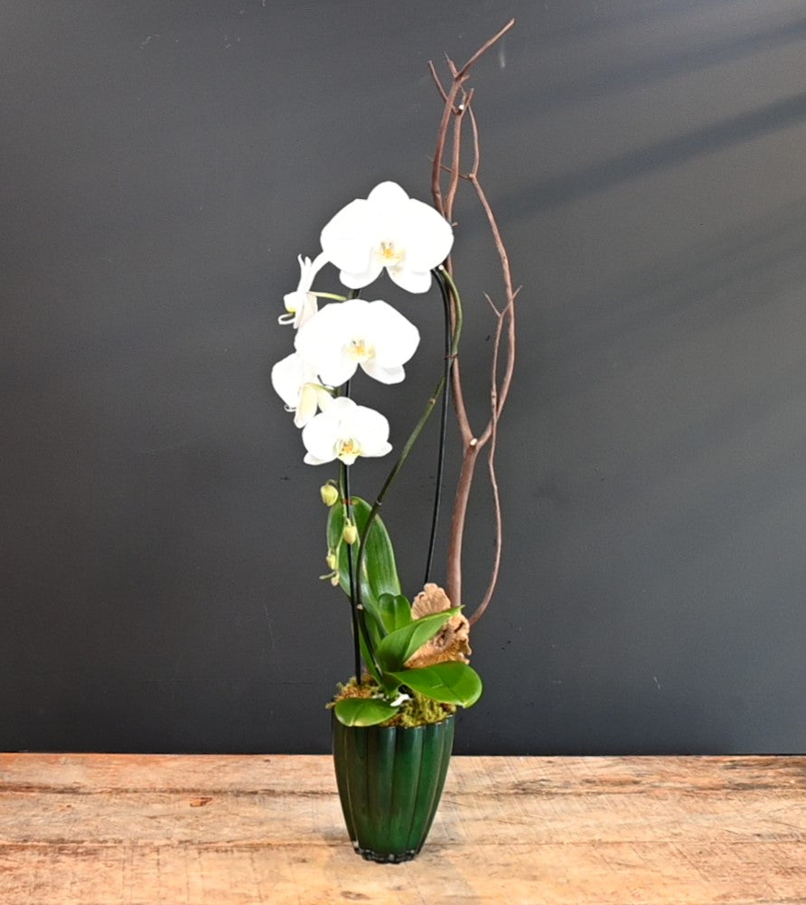 Boutique Subtle Beauty 
