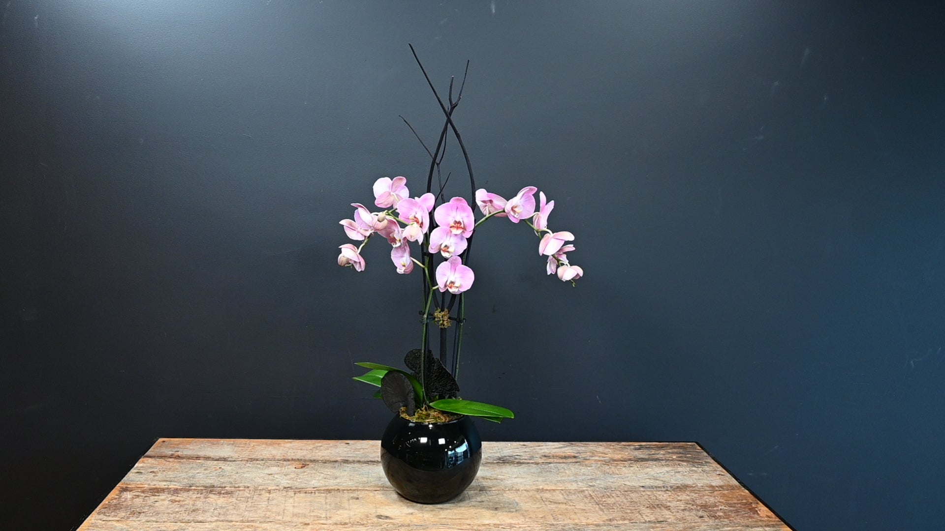 Beauty and Grace Pink 