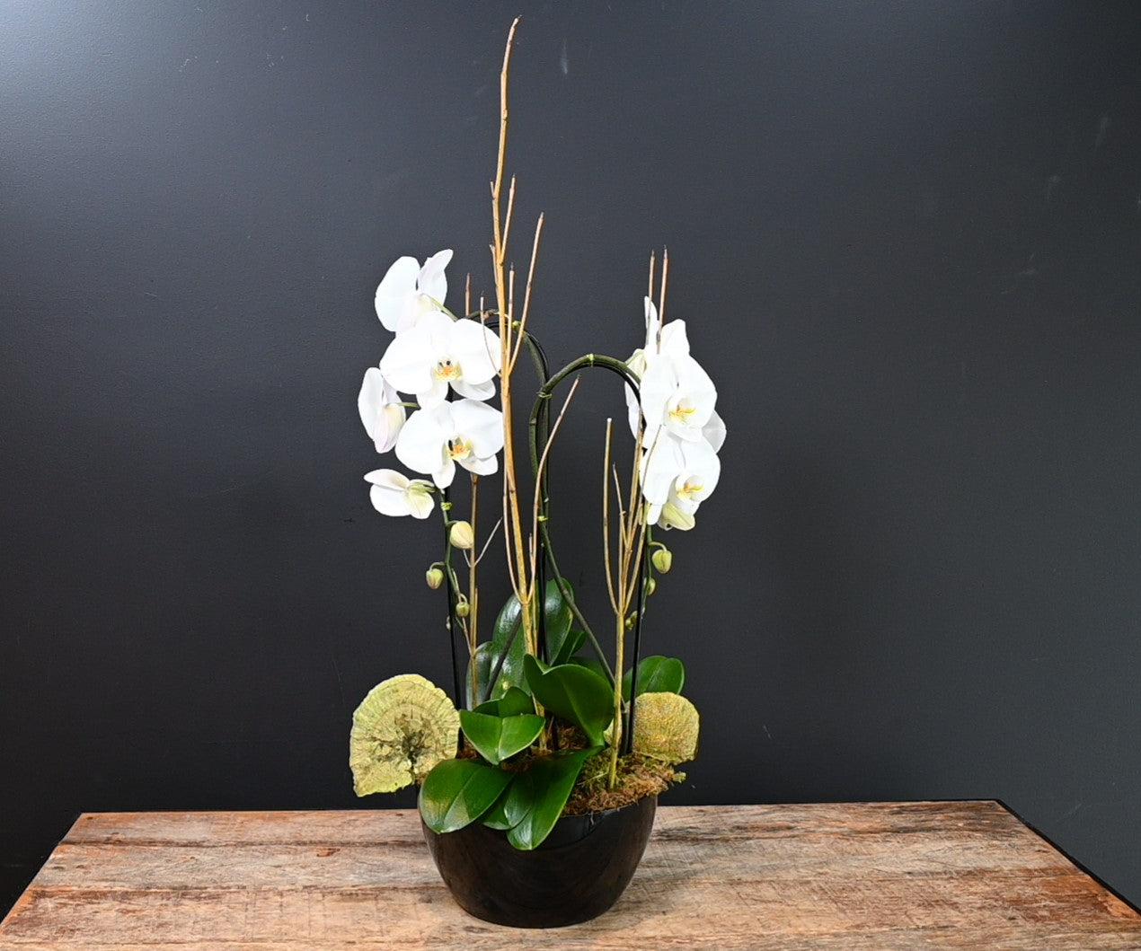 Boutique Subtle Beauty Double 